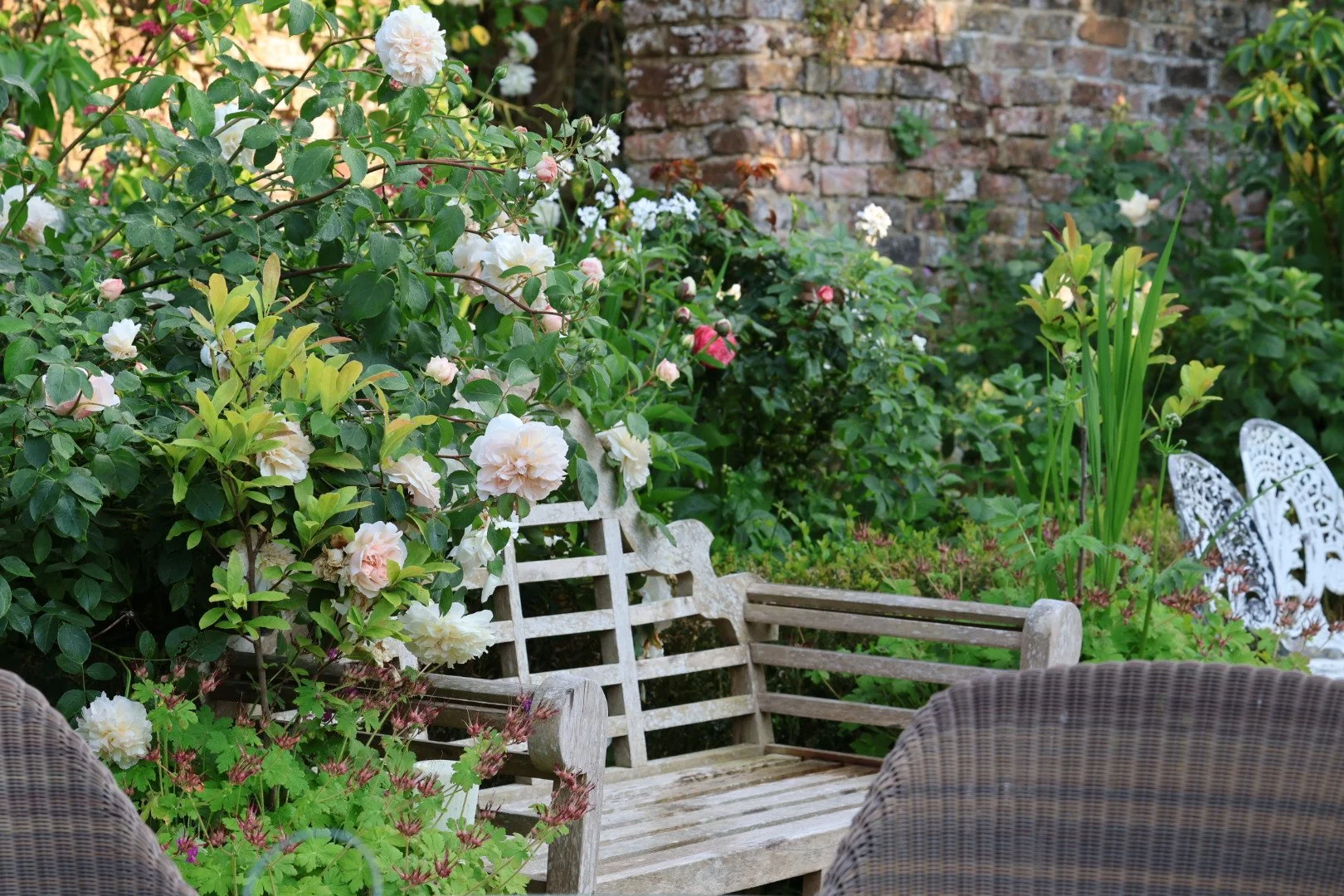 The school garden is looking so gorgeous, dressed in an array of early-summer florals.

-Emma Tatham 
#roses #englishgarden #flowergarden