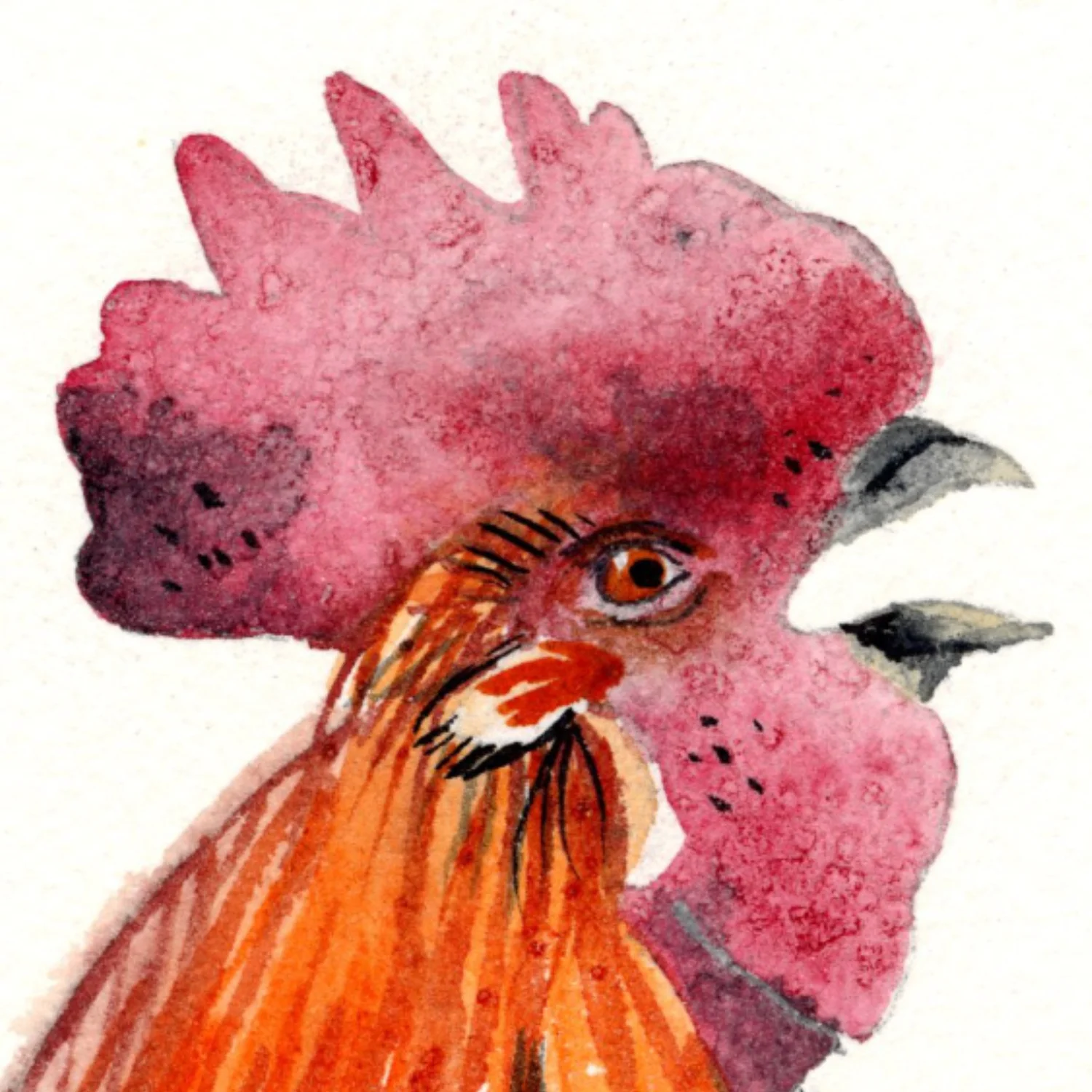 Online Colourful Cockerel Art Challenge — caroline tatham art