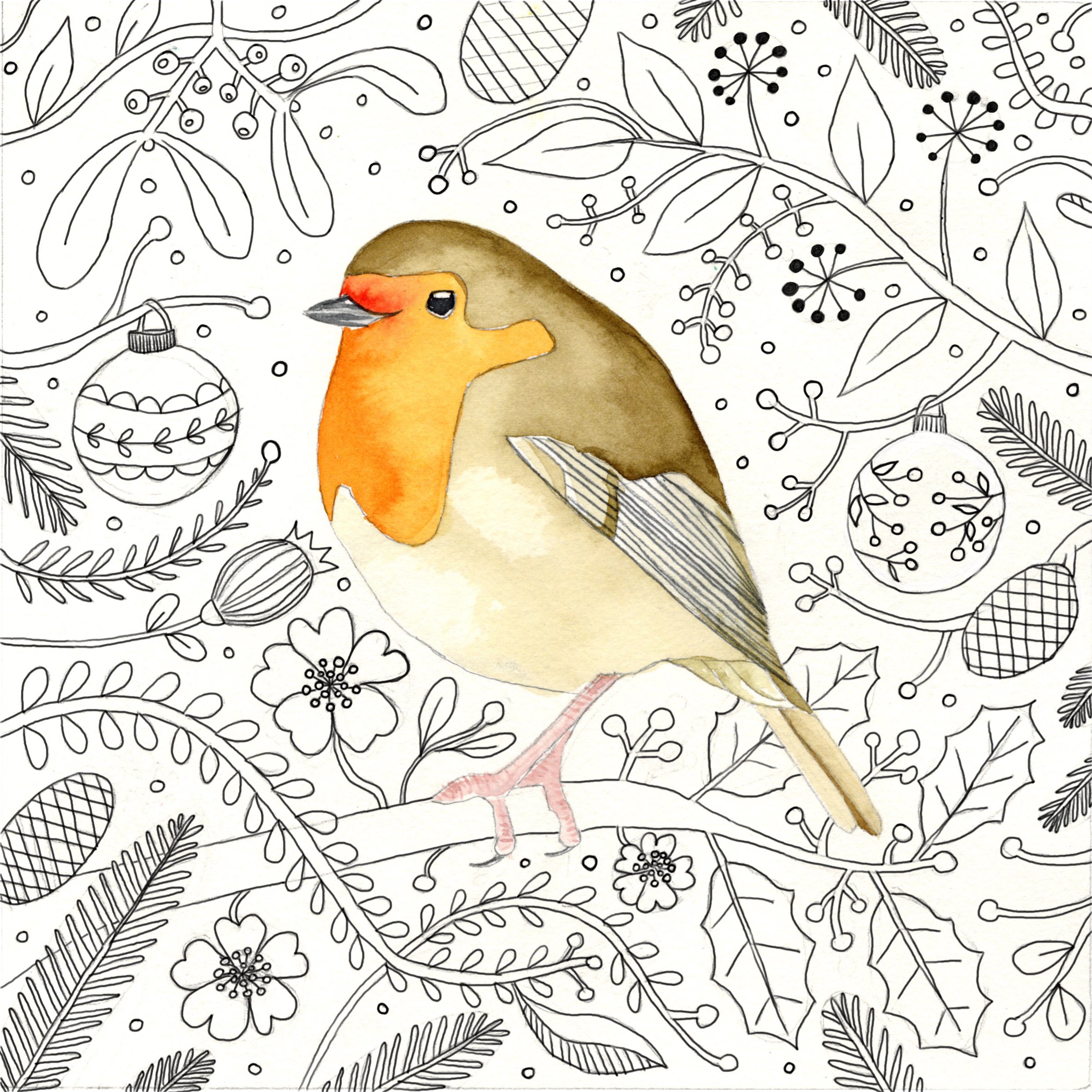 Robin with b&w background.jpg