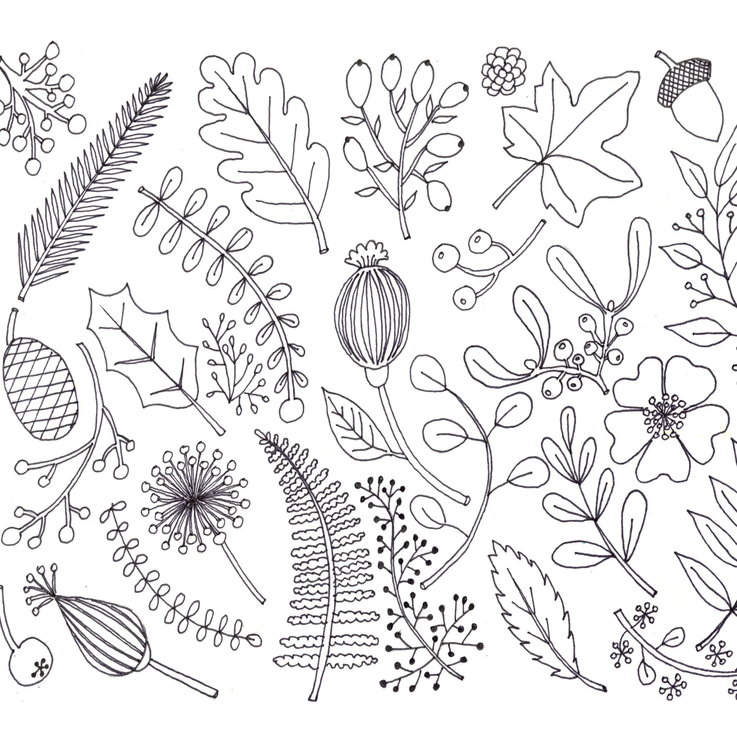 bullfinch day course web image 4 (1).jpg