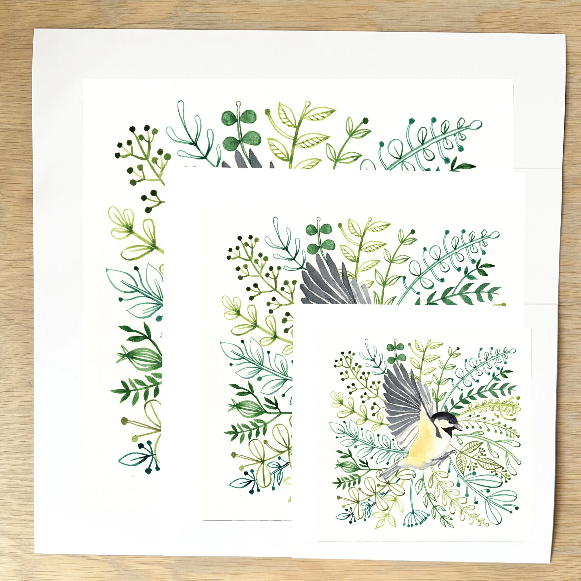 art print sizes NEW coal tit.jpg