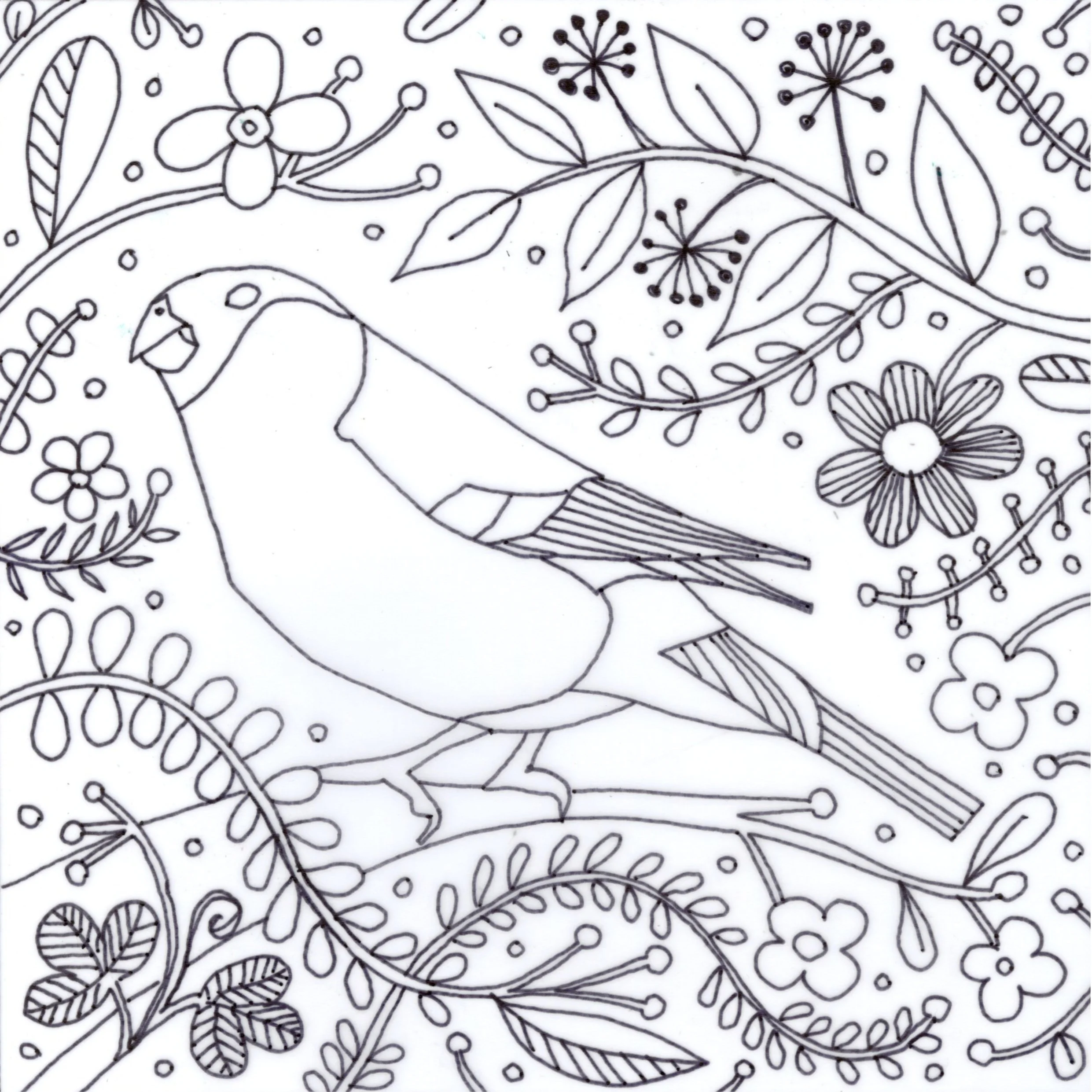 bullfinch day course web image 2.jpg