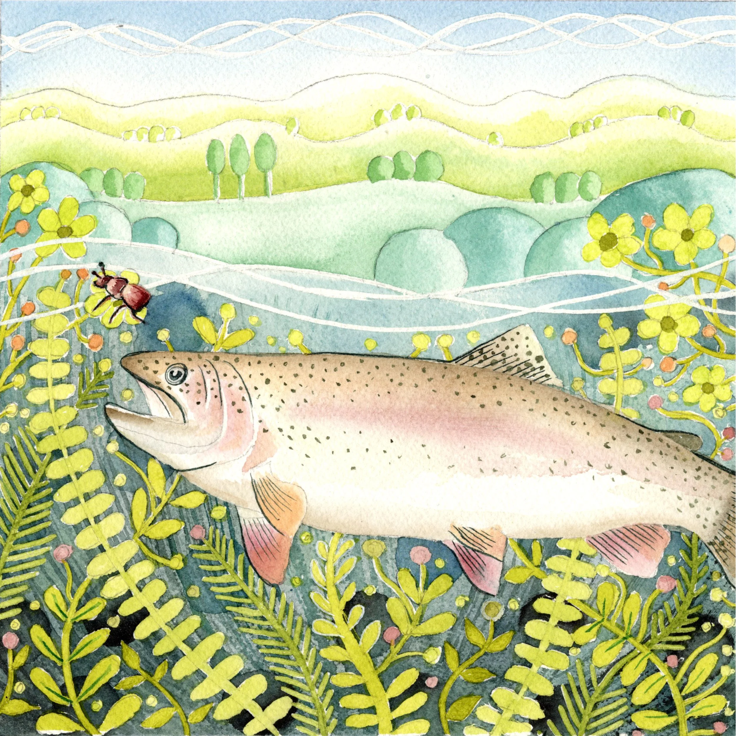 1 trout.jpg