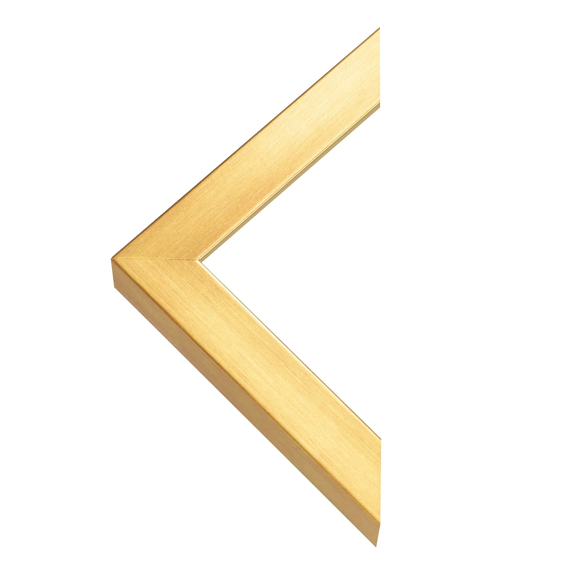 Classic antique gold frame chevron.jpg (Copy)