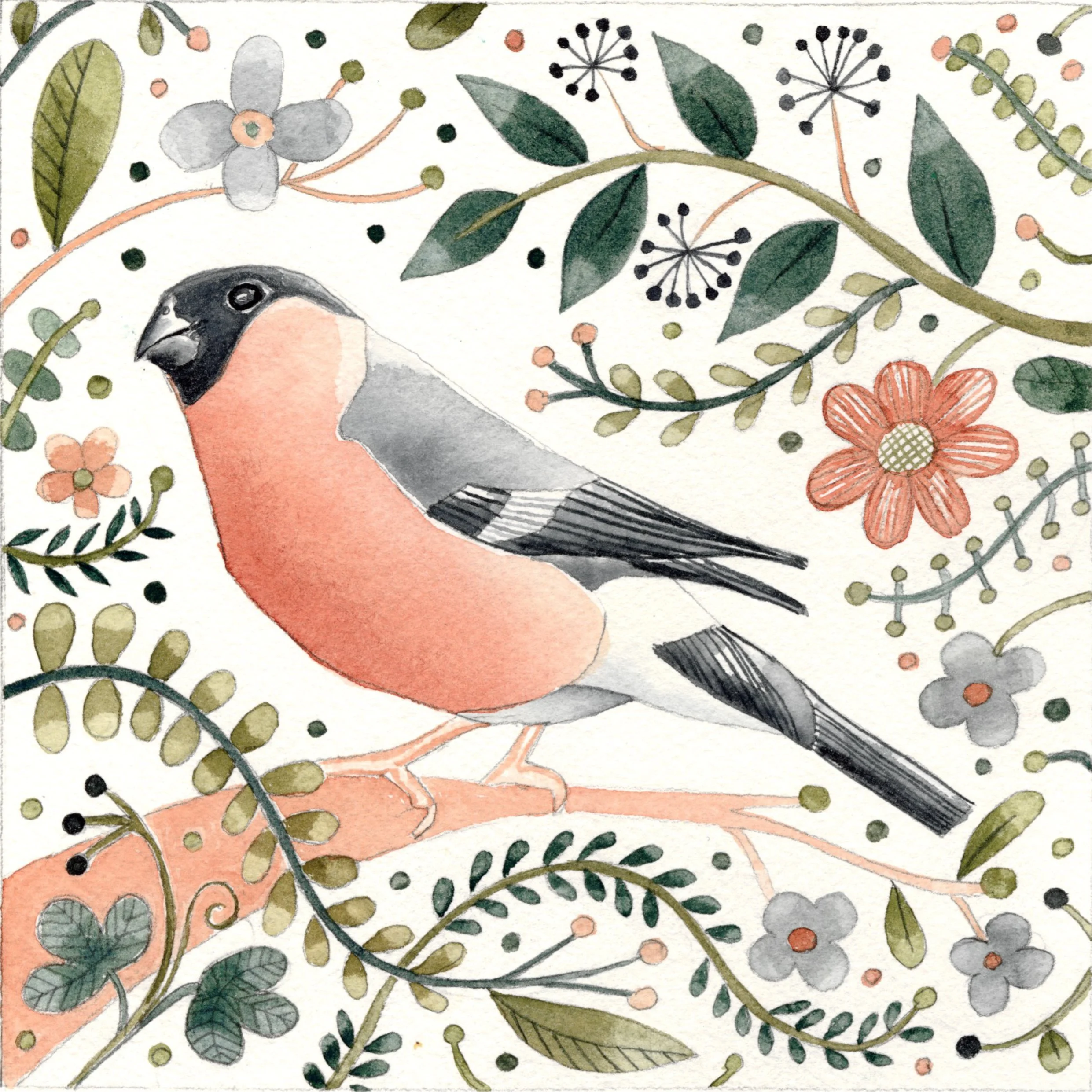 BullfincH DaY CouRse web image 1.jpg