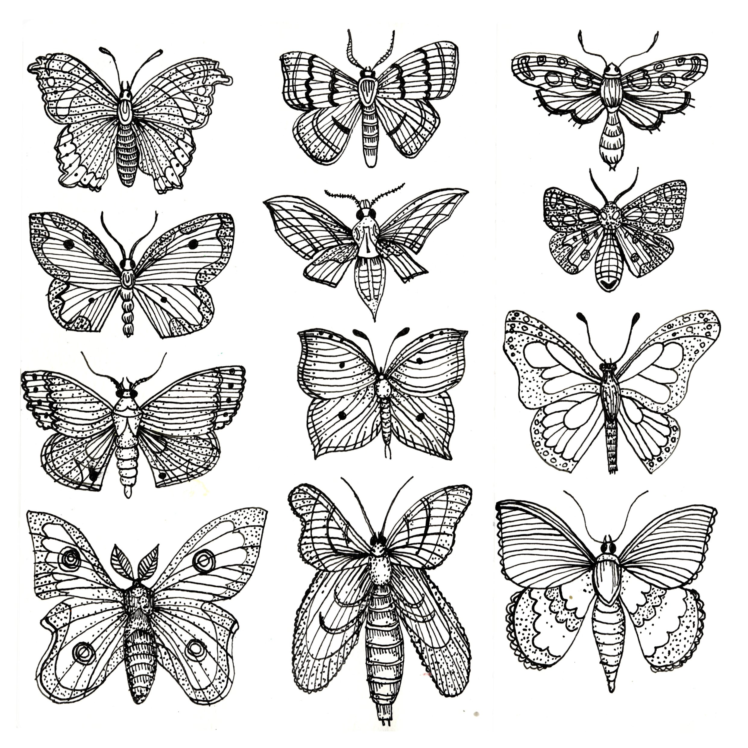Web cousre 2 image 4.jpg