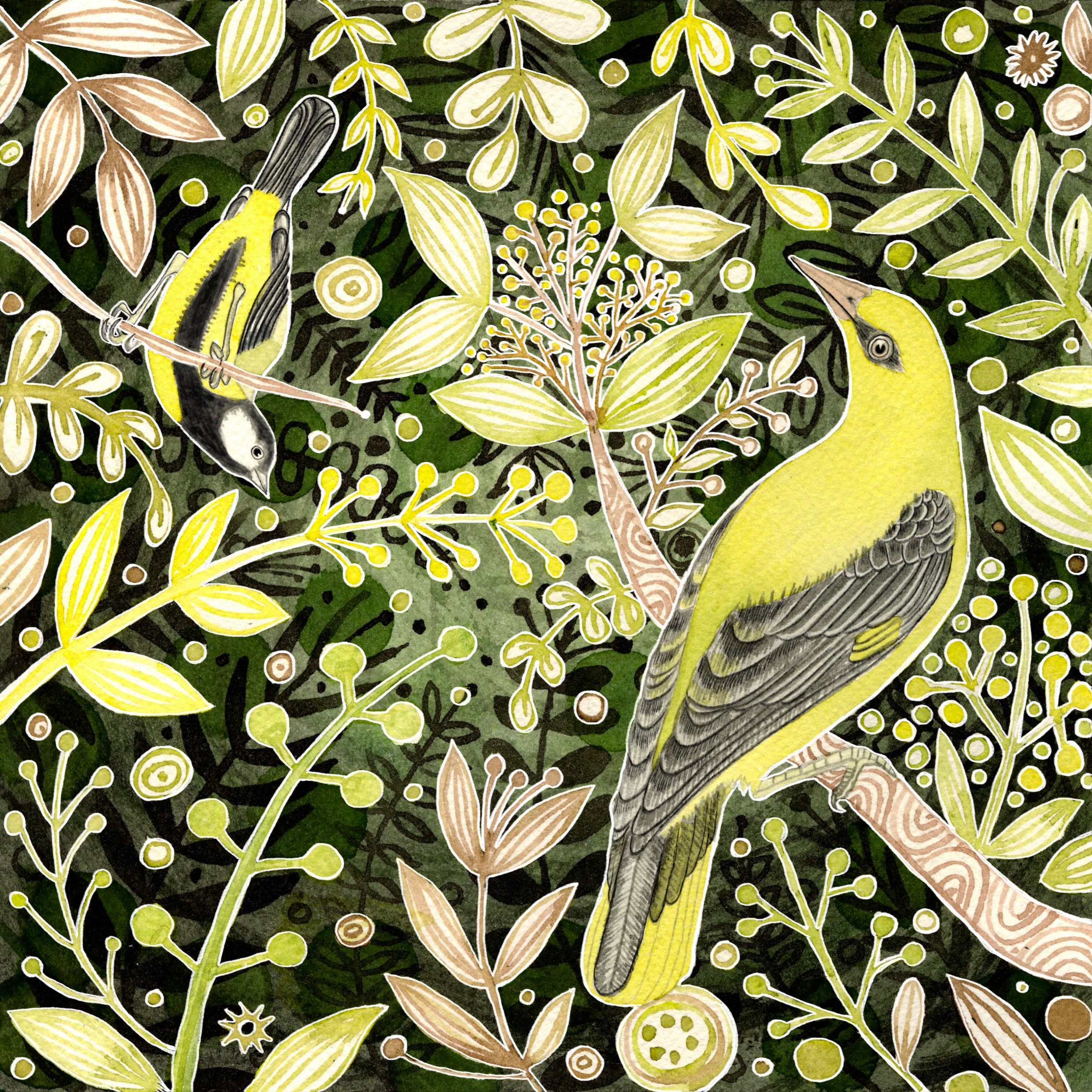 1 Oriel and Great Tit outlined.jpg