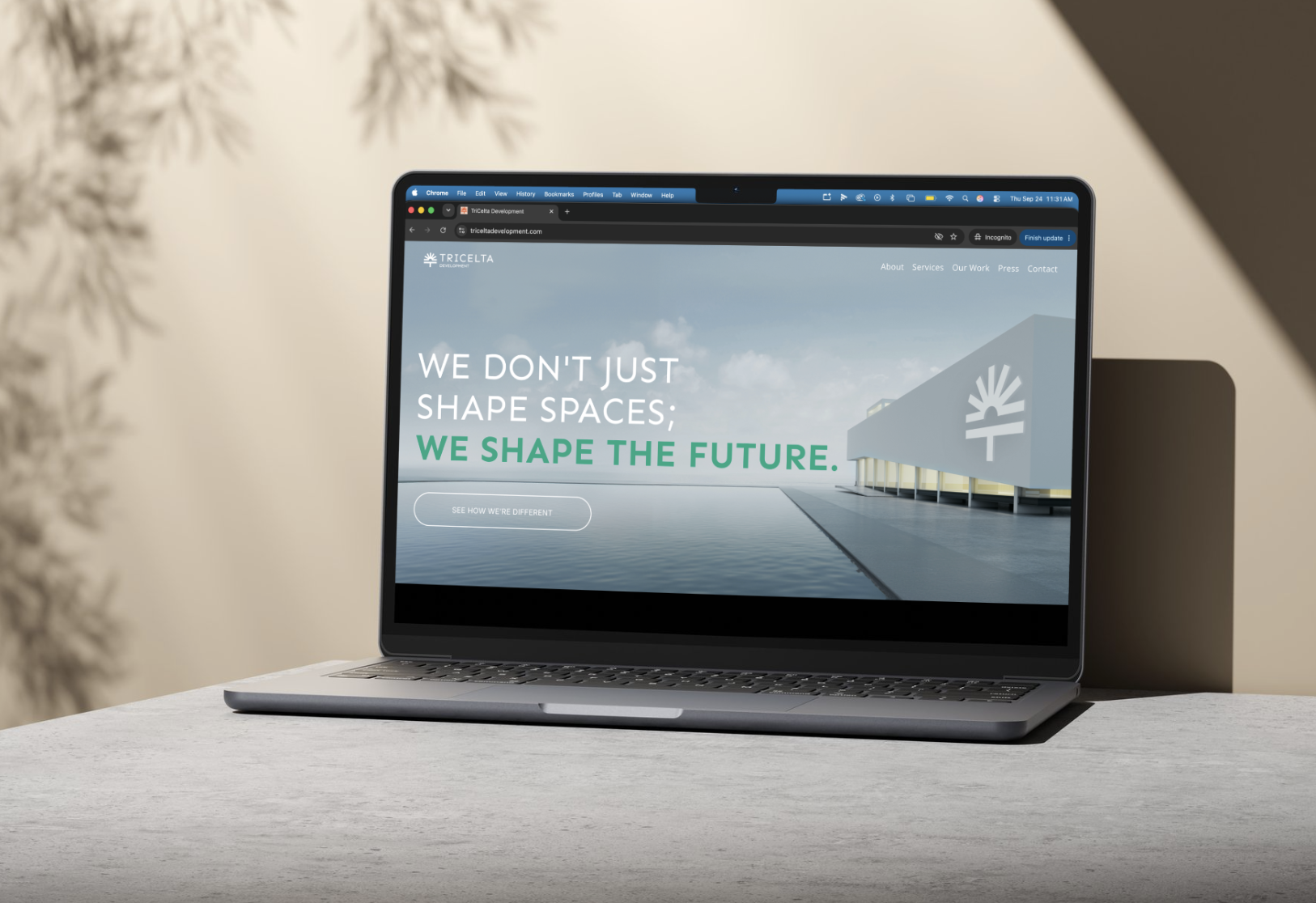 Tricelta Site Mockup.png
