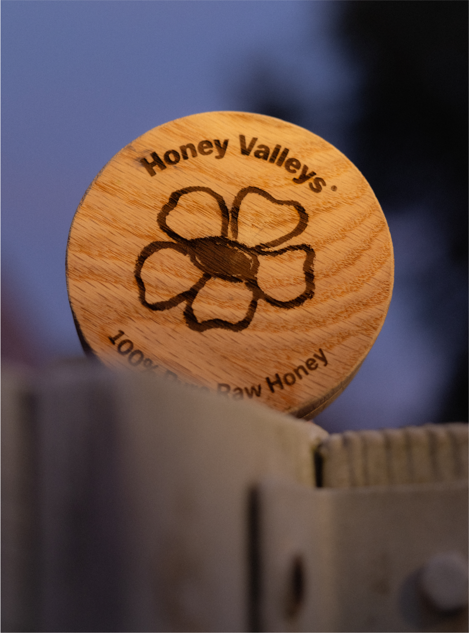 Fox_Jack_HoneyValleys_10152024-42 1.png