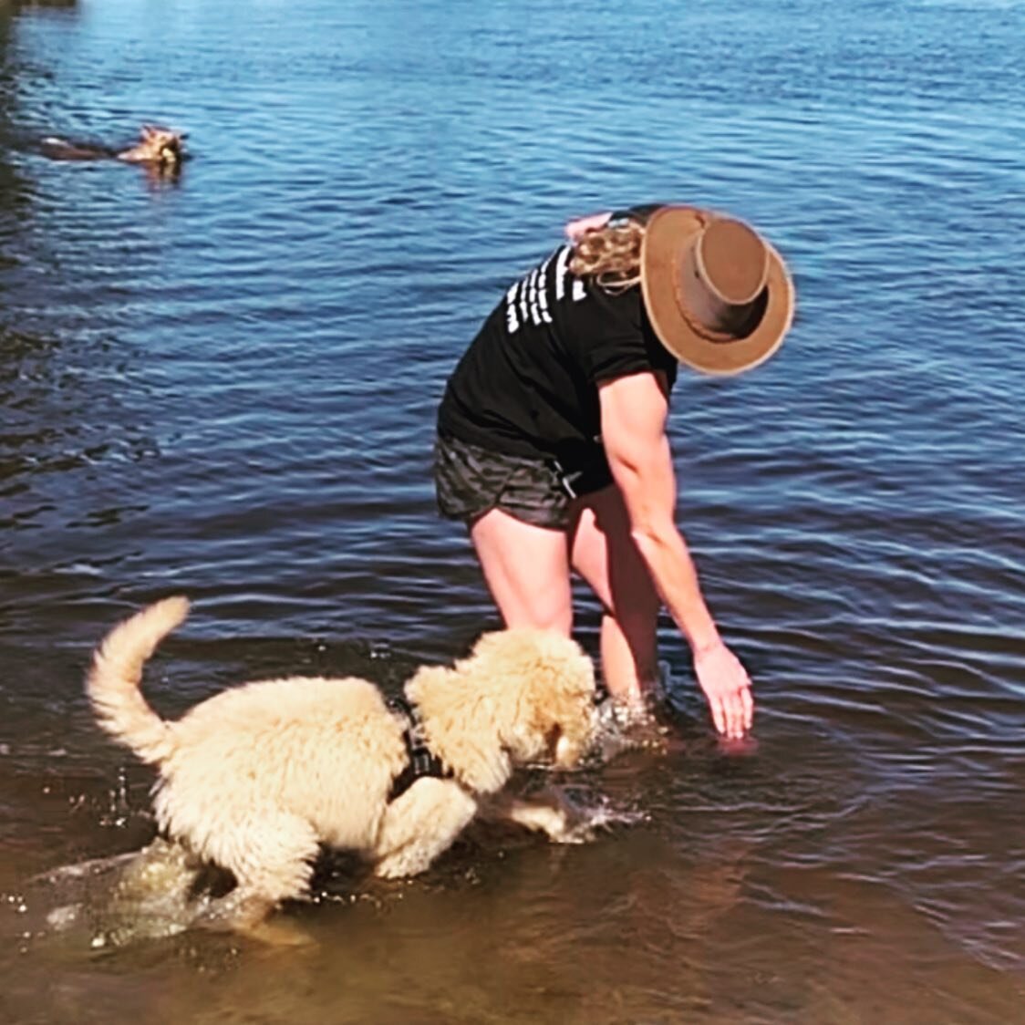 Best job on the planet 😍 #mylifewithdogs #dogdialogue #puppy #dog #doggo #dogg #dogsofinstagram #dogstagram #dogs_of_instagram #puppiesofinsta #dogsswimming #dogtraining