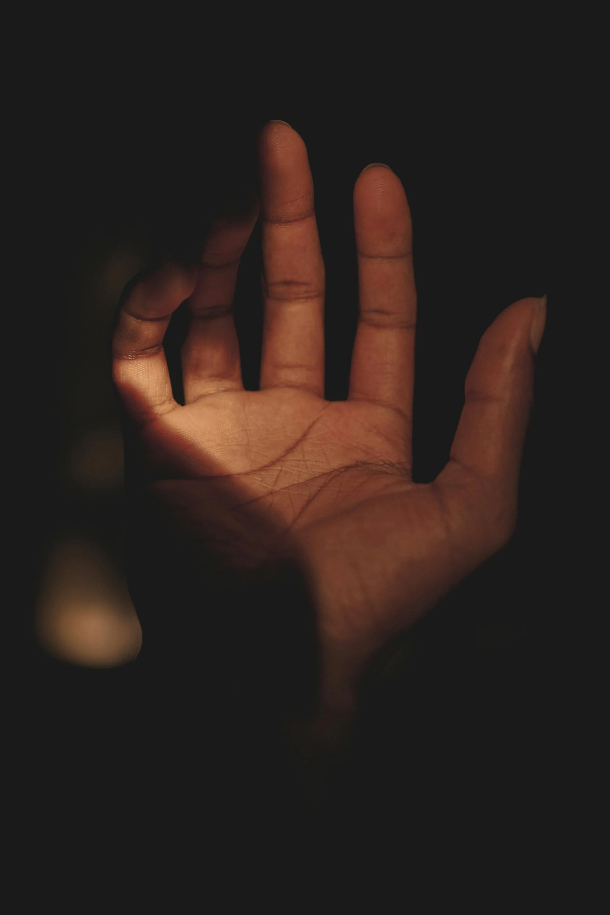 The Open Hand