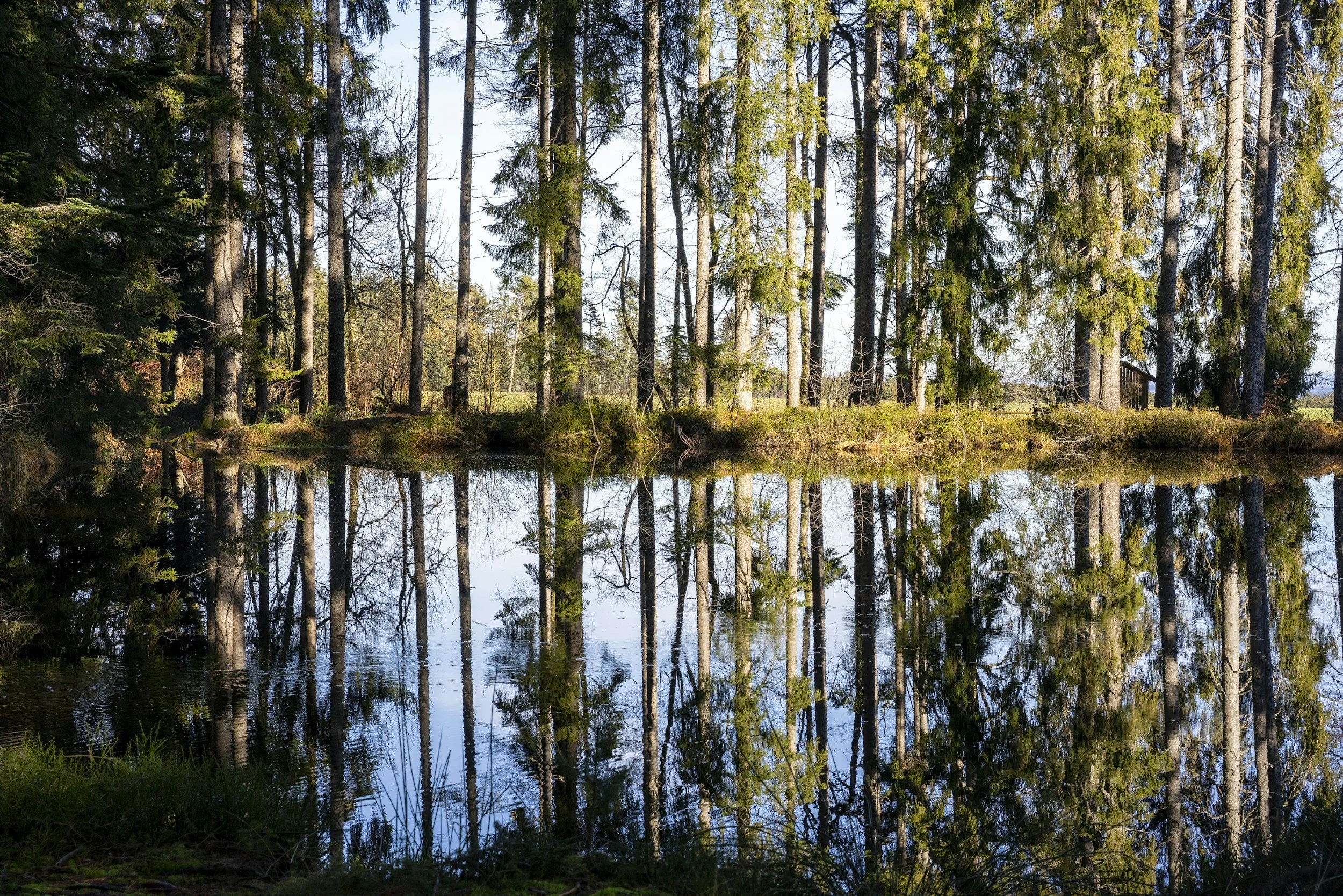 The Borrowed Mirror: Nations, Lovers, and the Hunger for Worth
