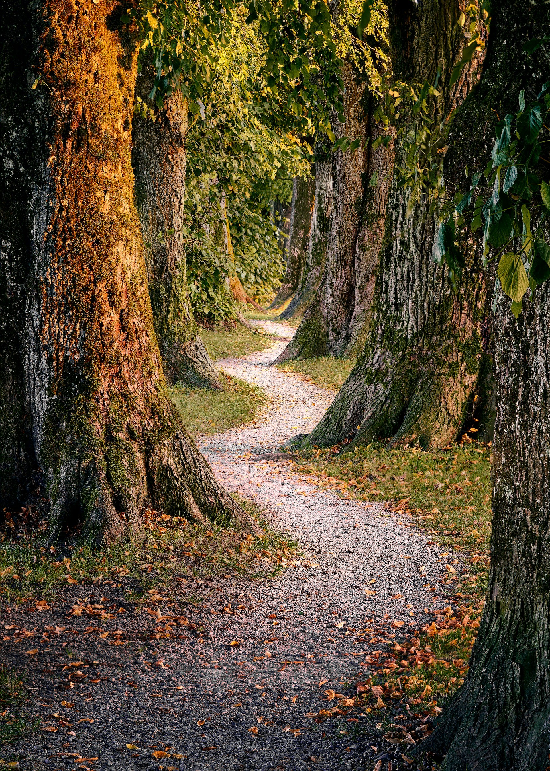 The Passage: A Six-Month Guided Arc