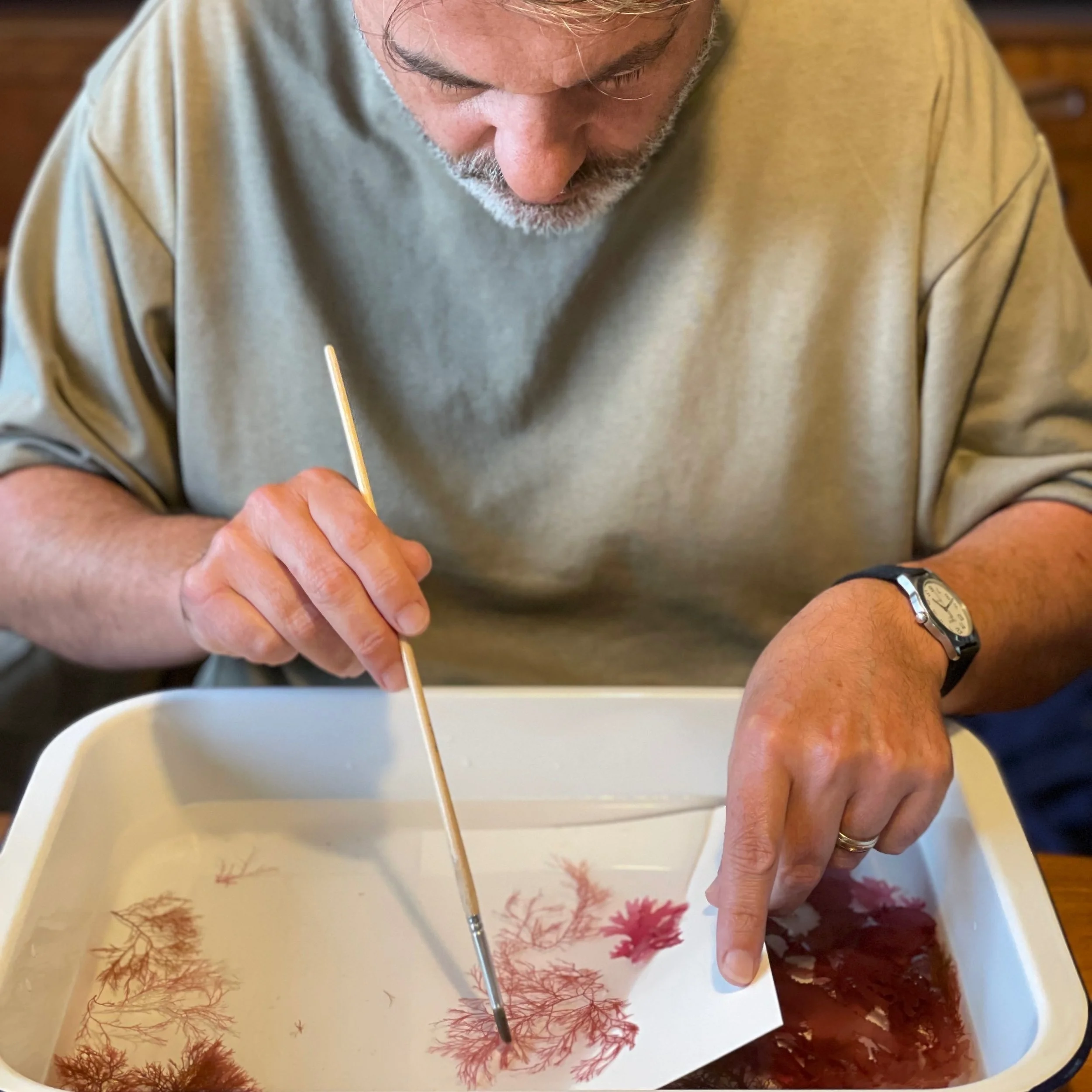 A man arranging seaweed in a white tray