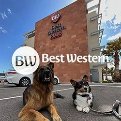 Best Western Hotels The Journey Partner Logo Image