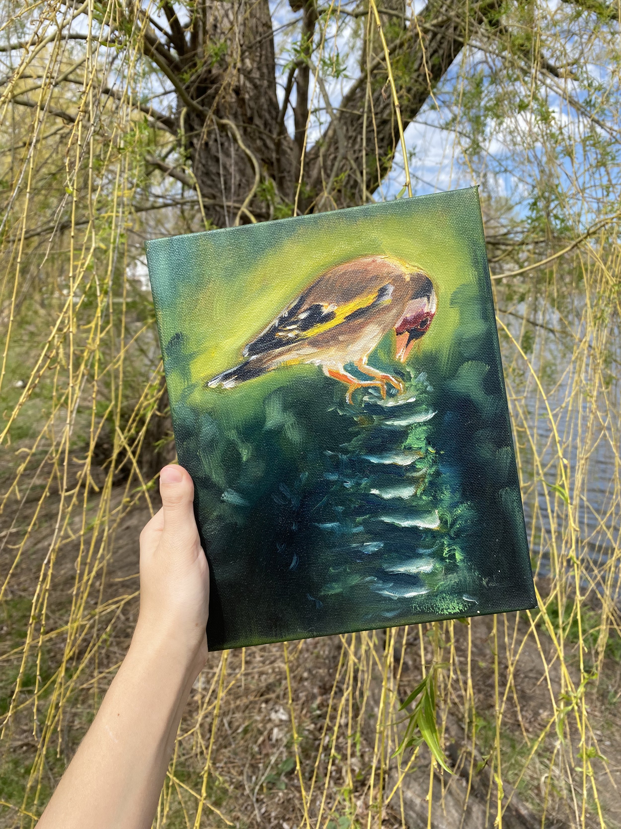 European Goldfinch oil painting
