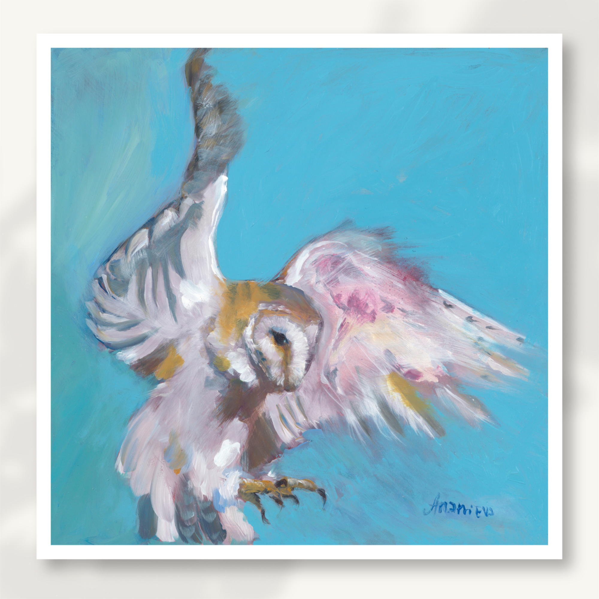 Barn Owl Fine Art Print