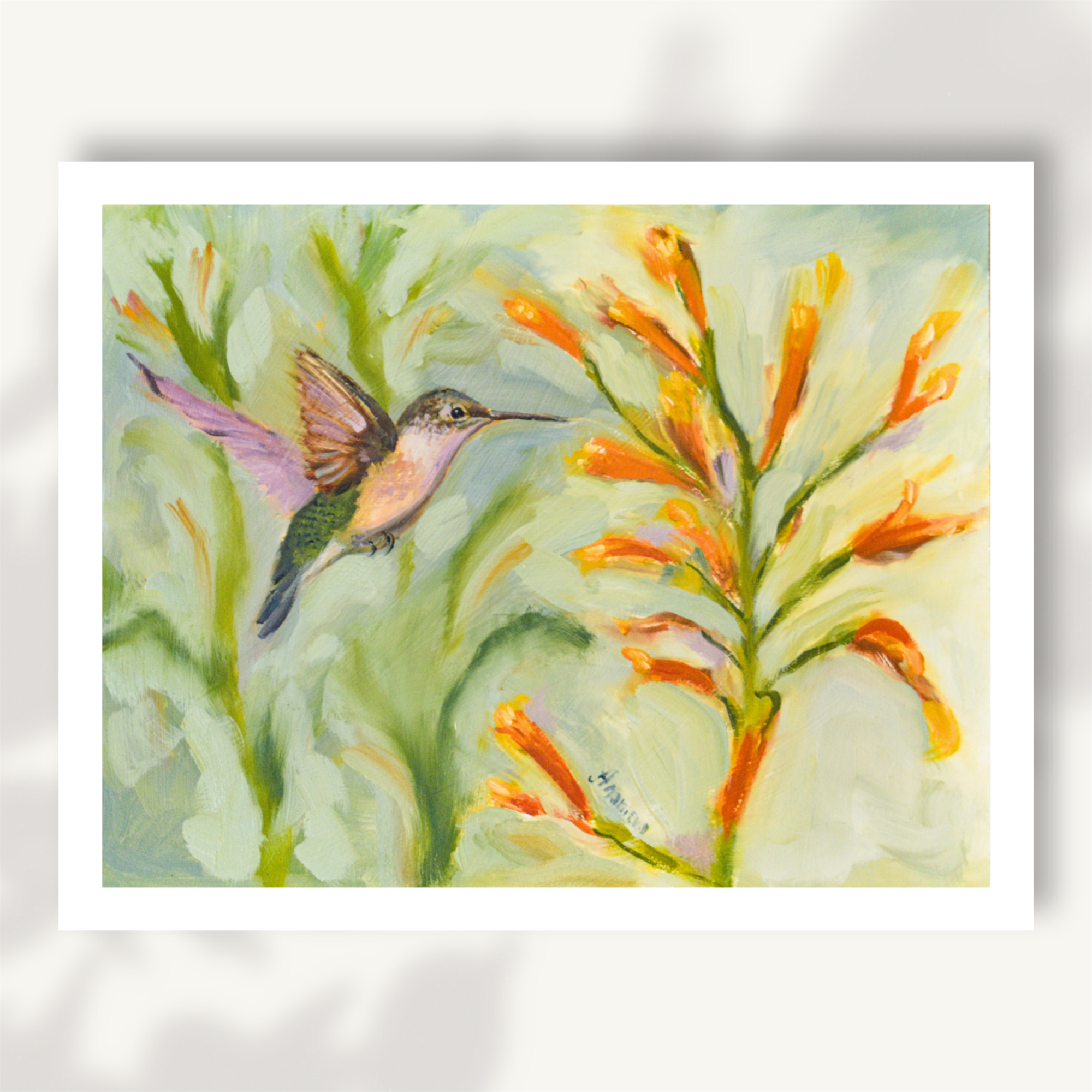 Summer Hummingbird Fine Art Print