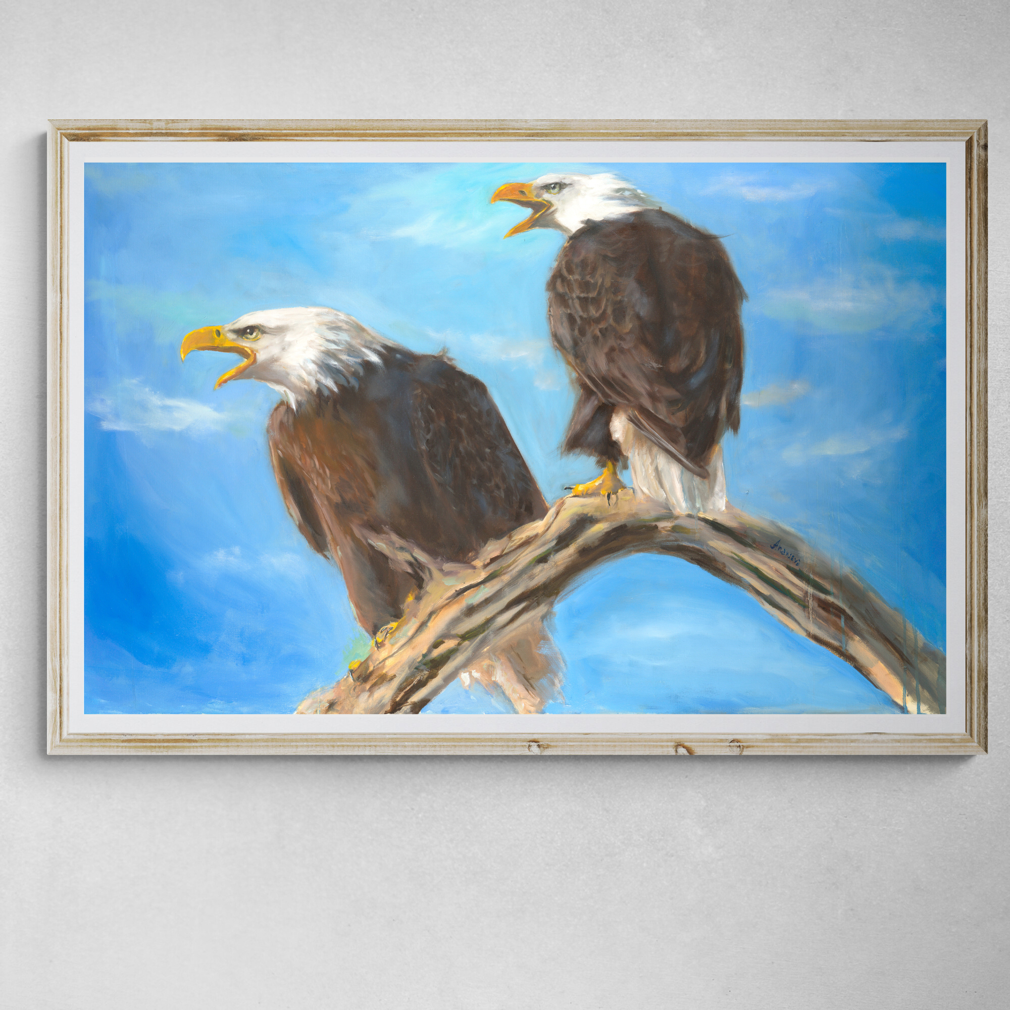 Bald Eagles Fine Art Print