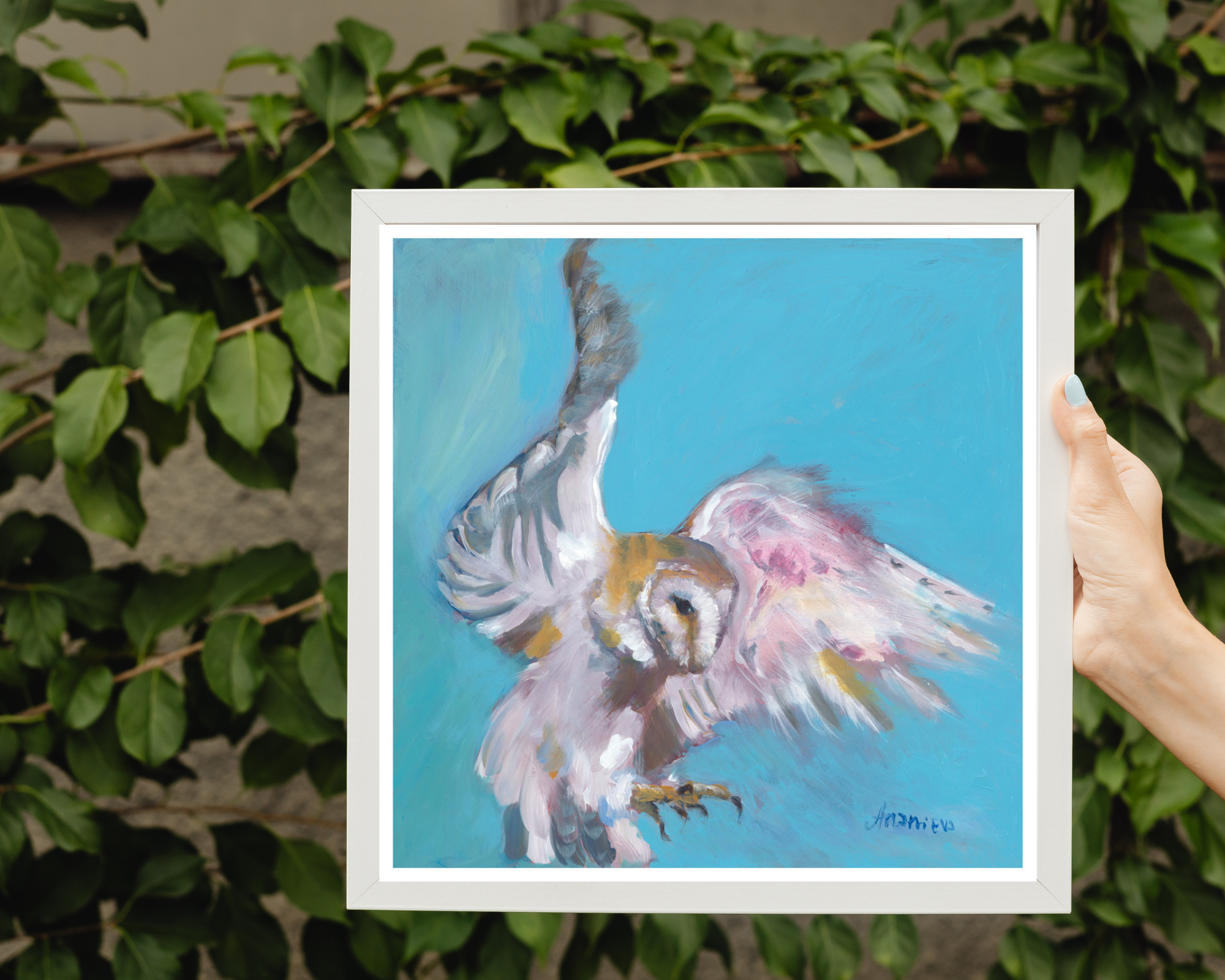 barn owl fine art print