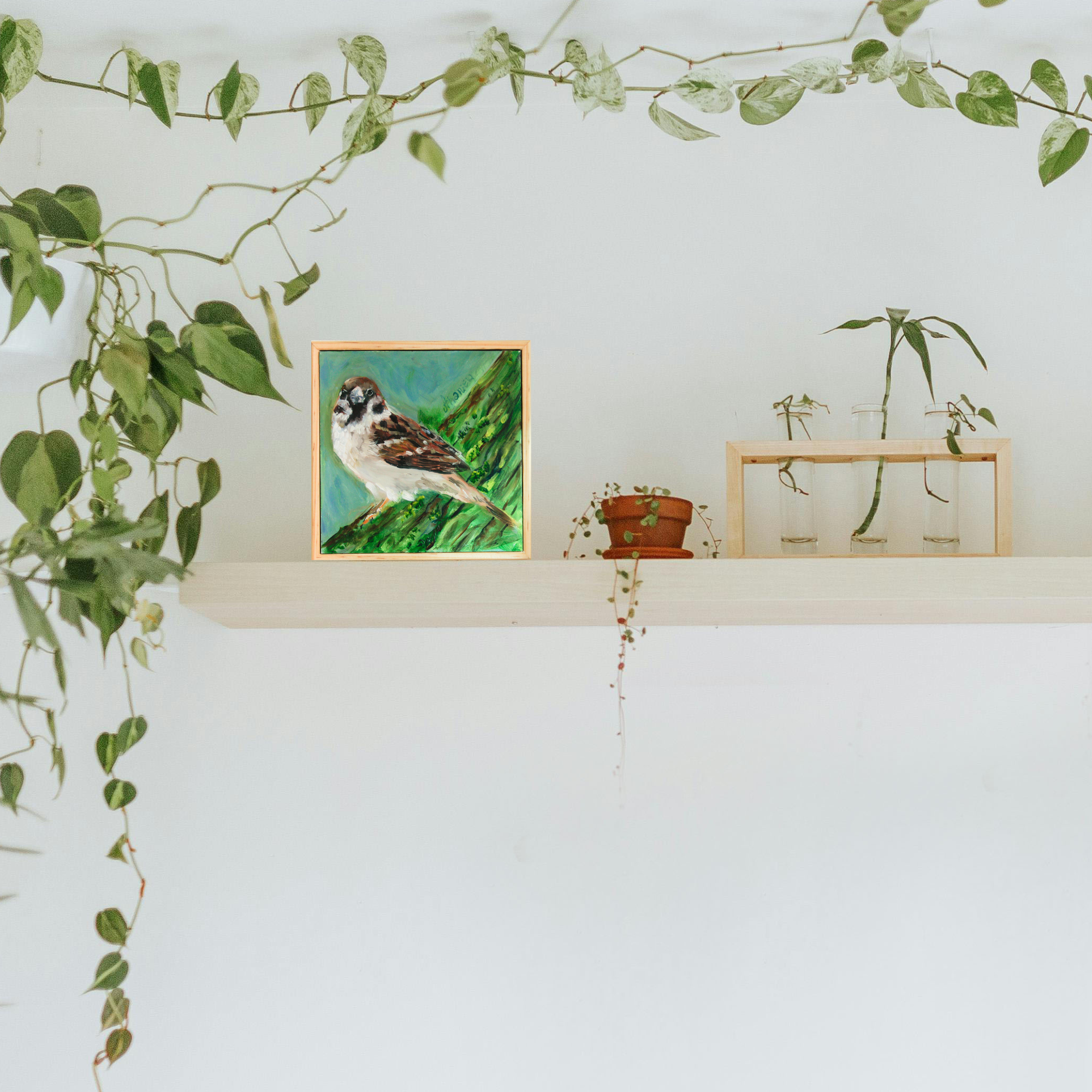 Website Main Image.png