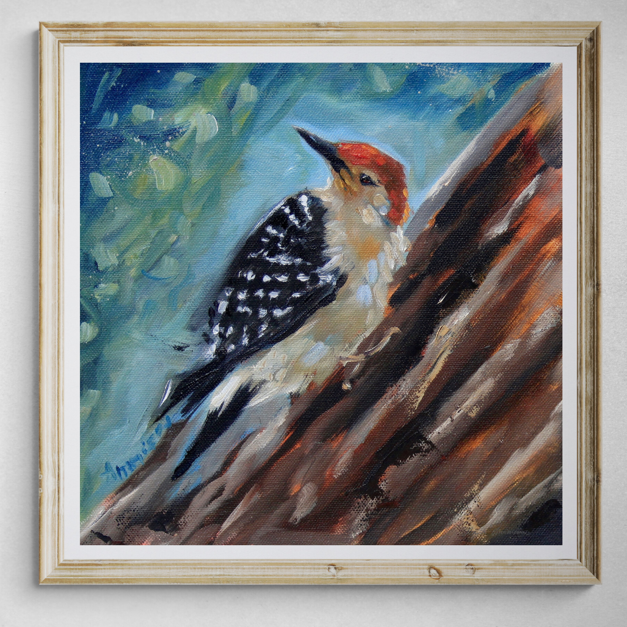 Red Bellied Woodpecker Fine Art Print