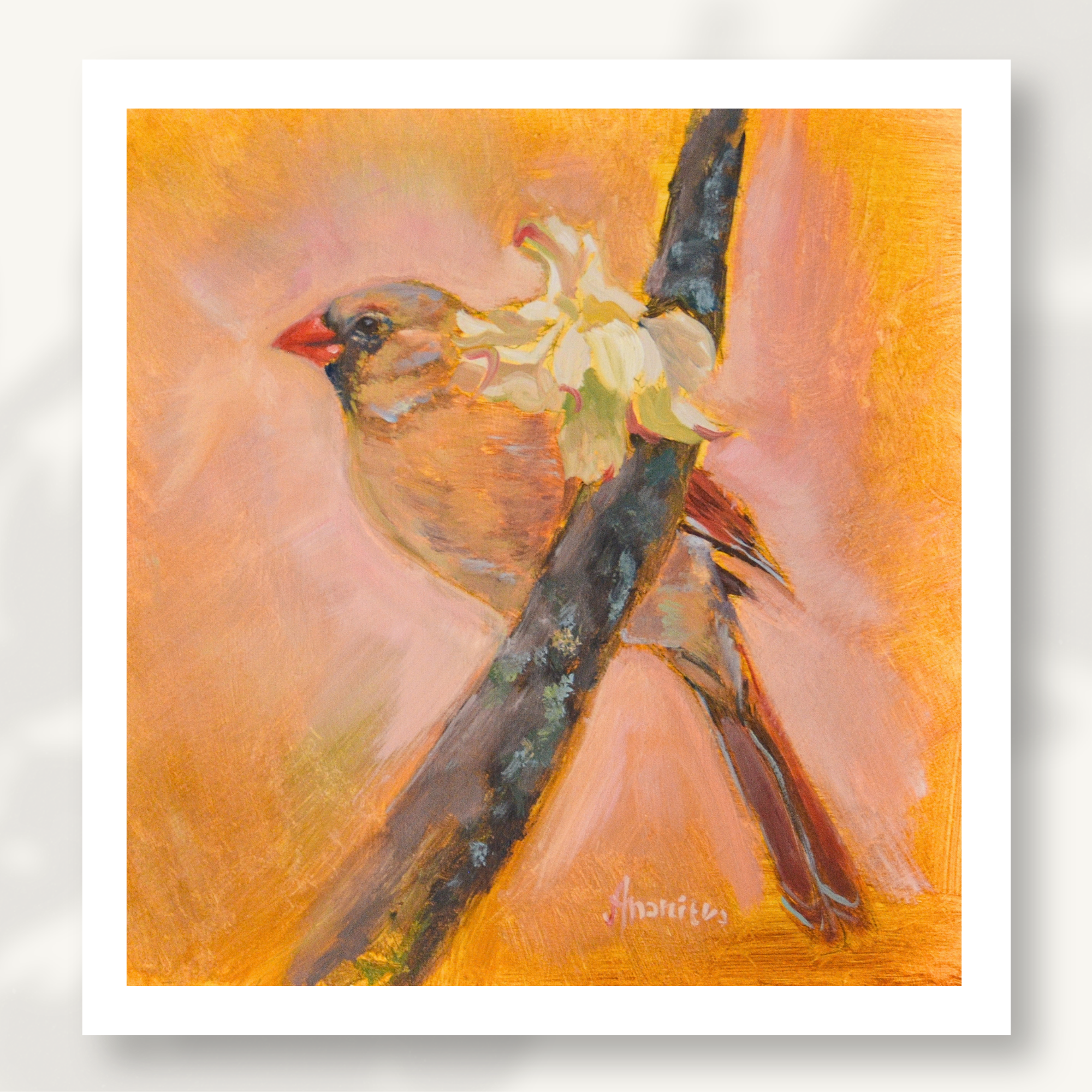 Female Cardinal Fine Art Print