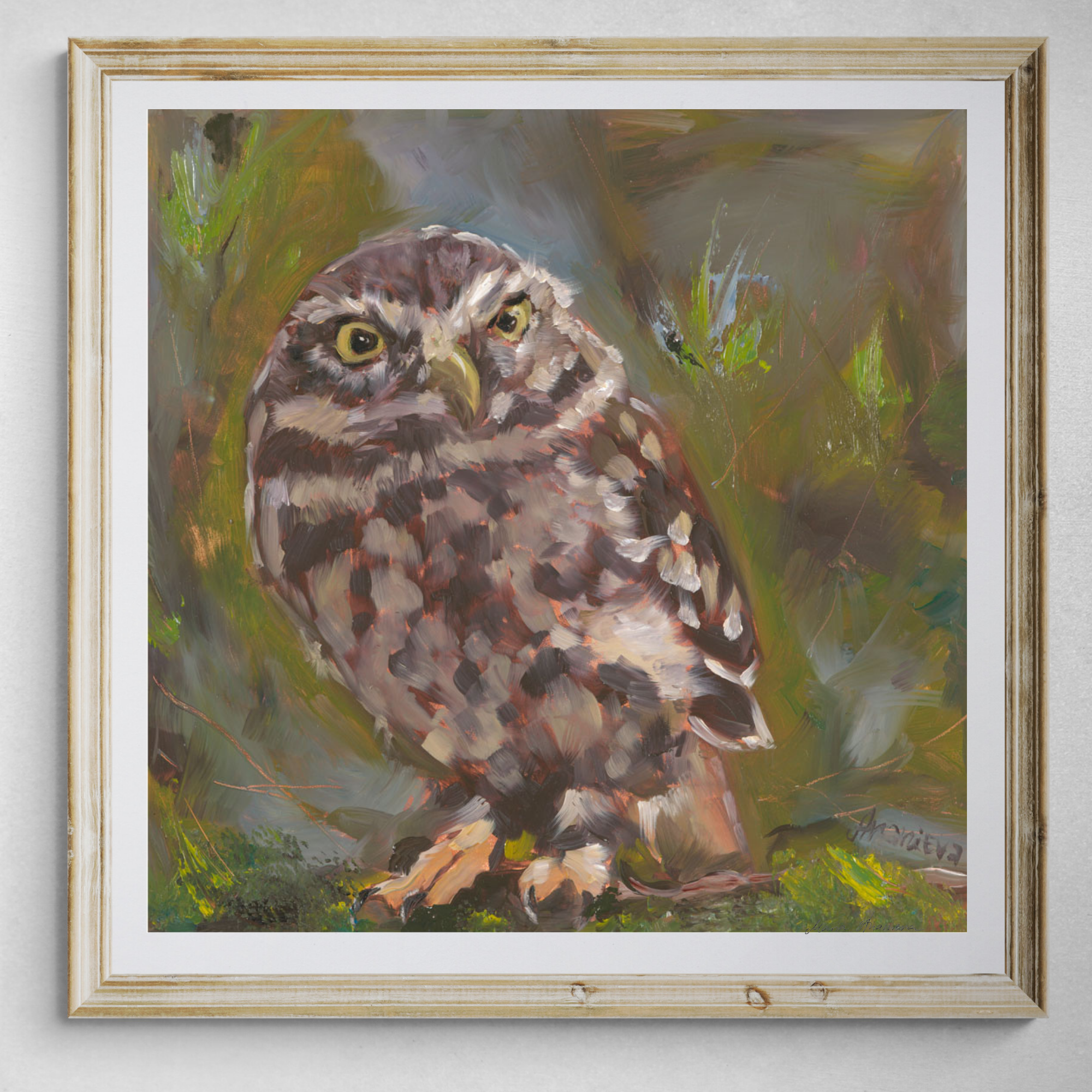 Little Owl Fine Art Print