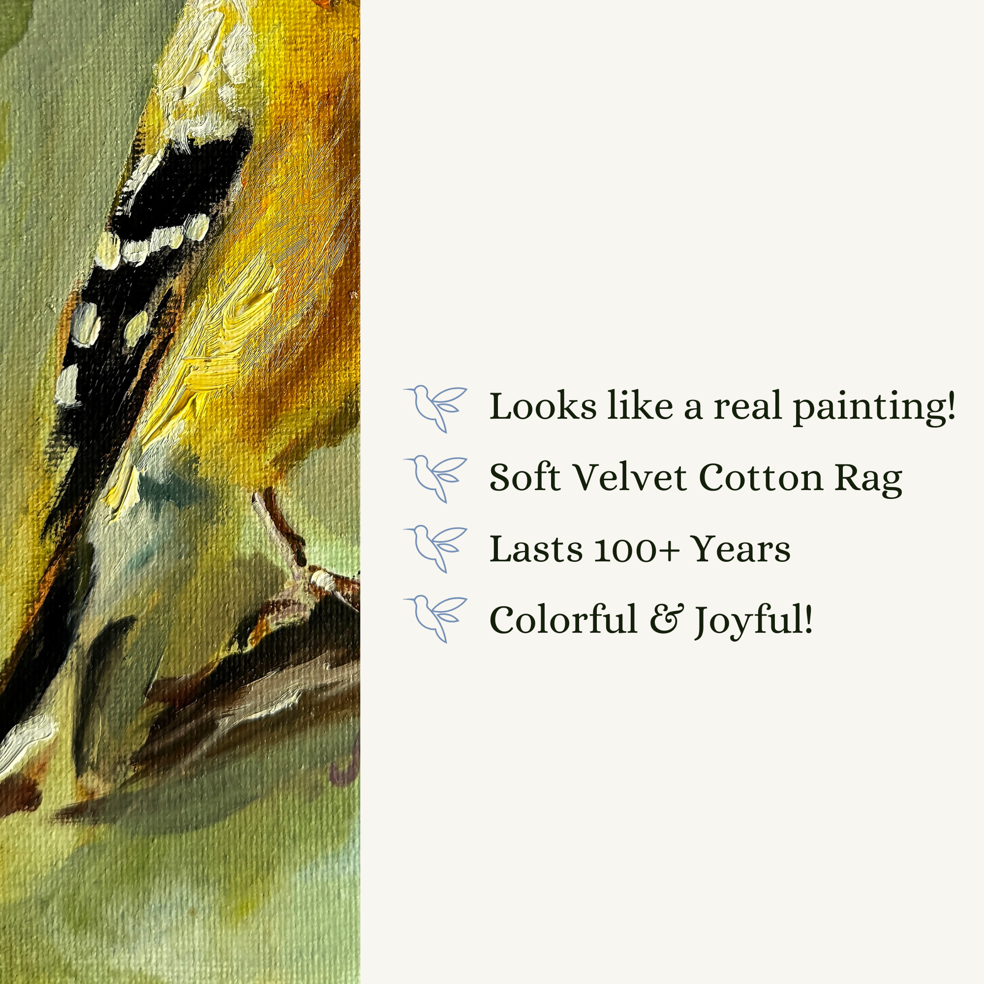 Plain Background (1).png (Copy)