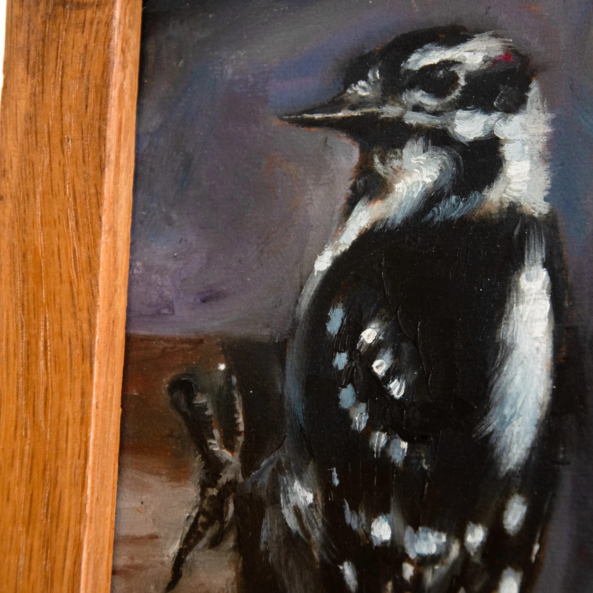 Hairy Woodpecker1.jpg