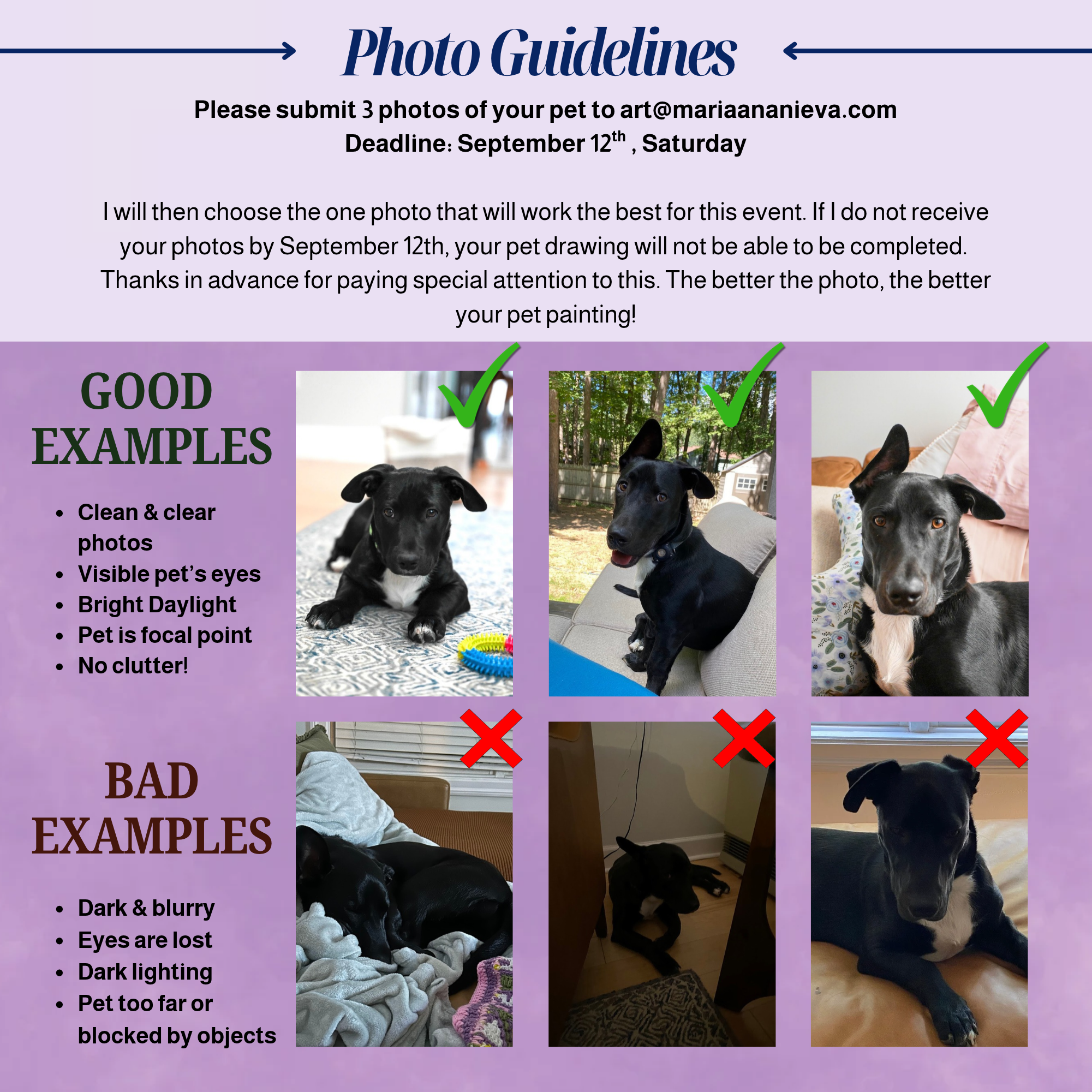 Photo Guidelines (1).png
