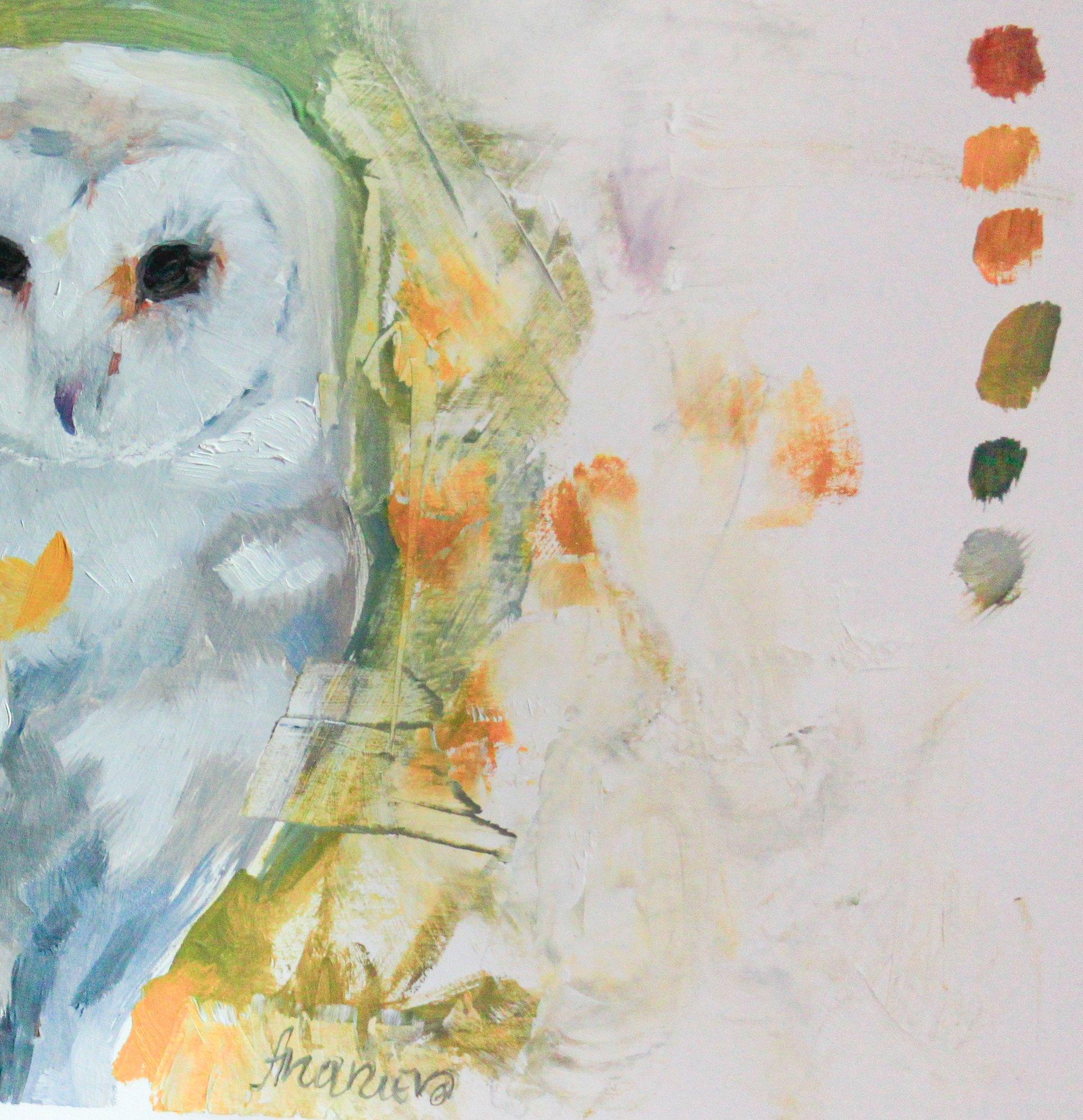 Barn owl painting close up