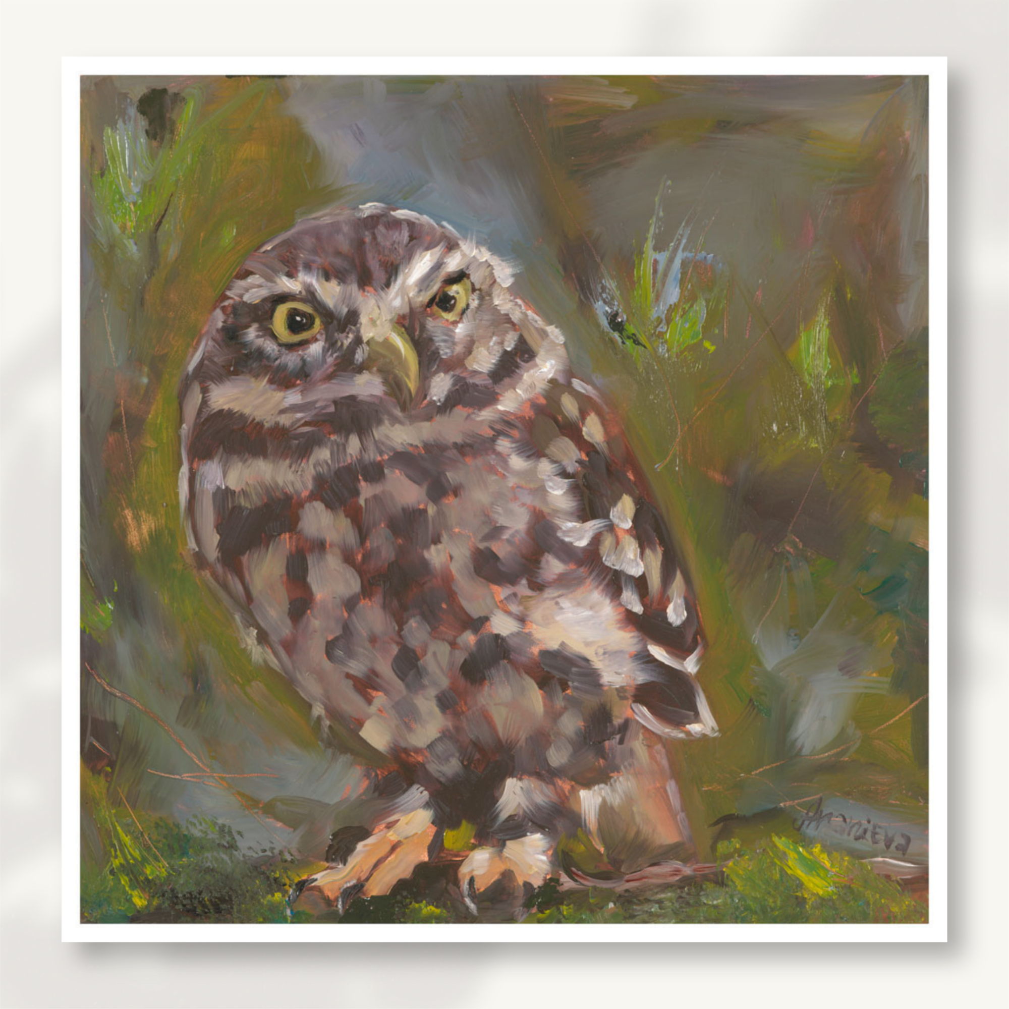 Little Owl Fine Art Print