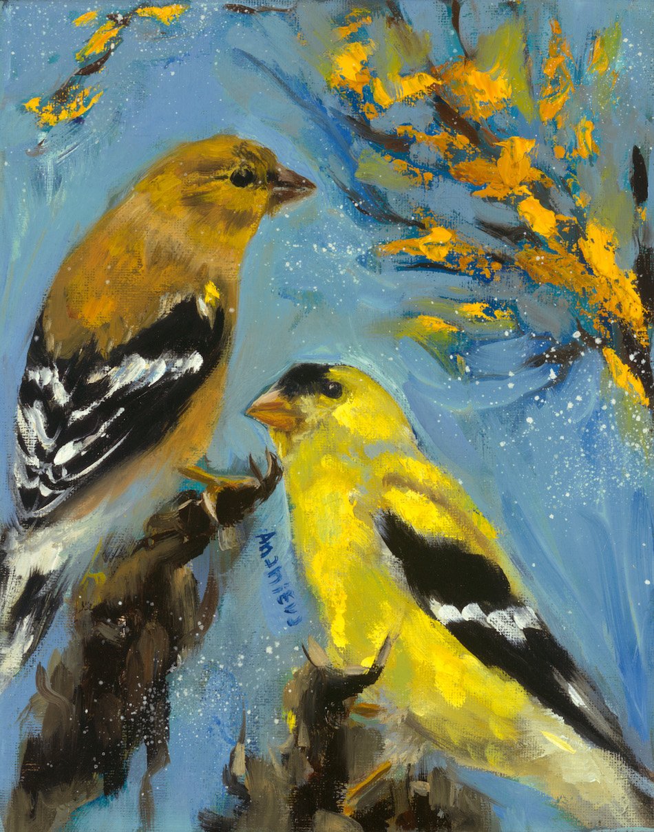 JPG_GoldFinches-9880.jpg