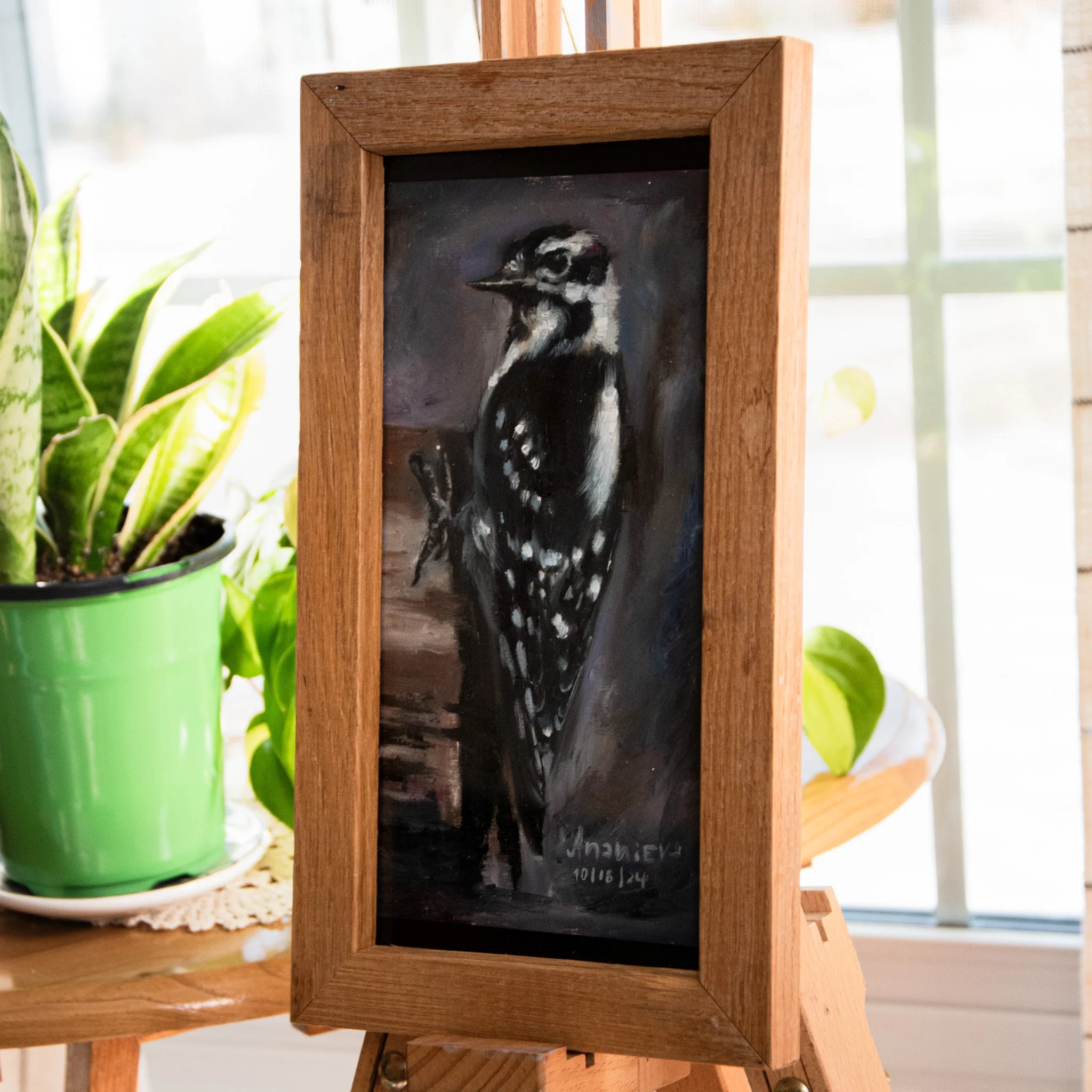 Hairy Woodpecker4.jpg