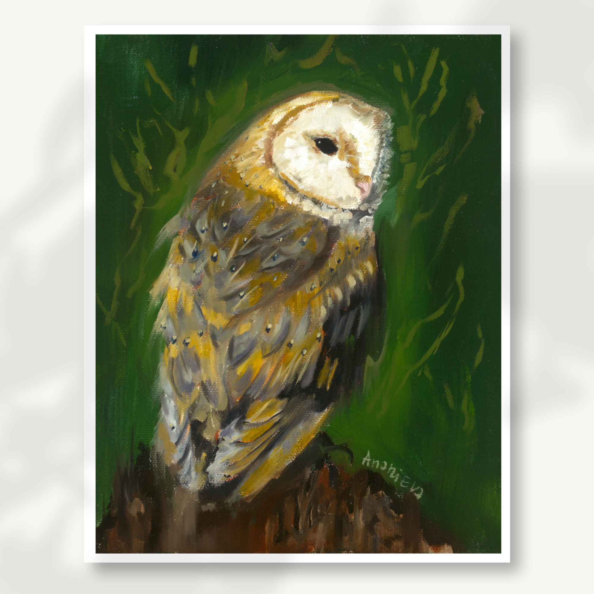 Barn Owl Fine Art Print