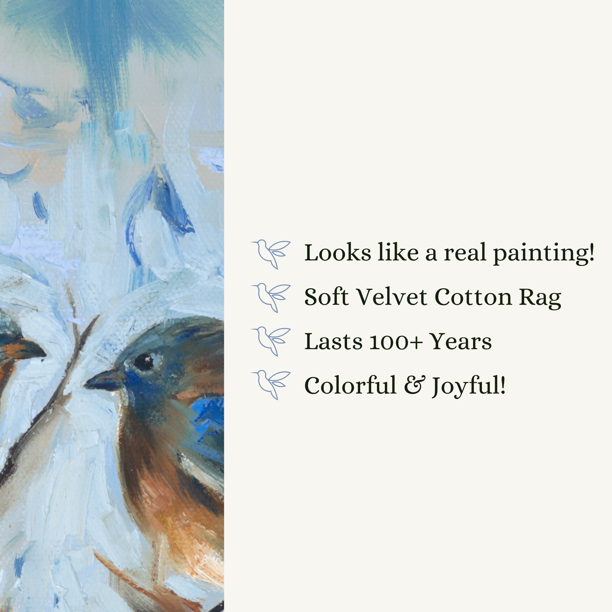 Plain Background (4).png