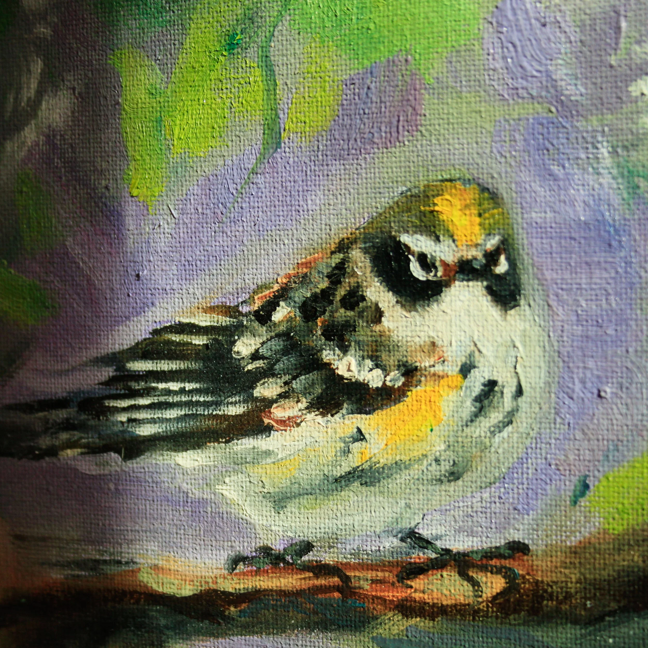 bird painting