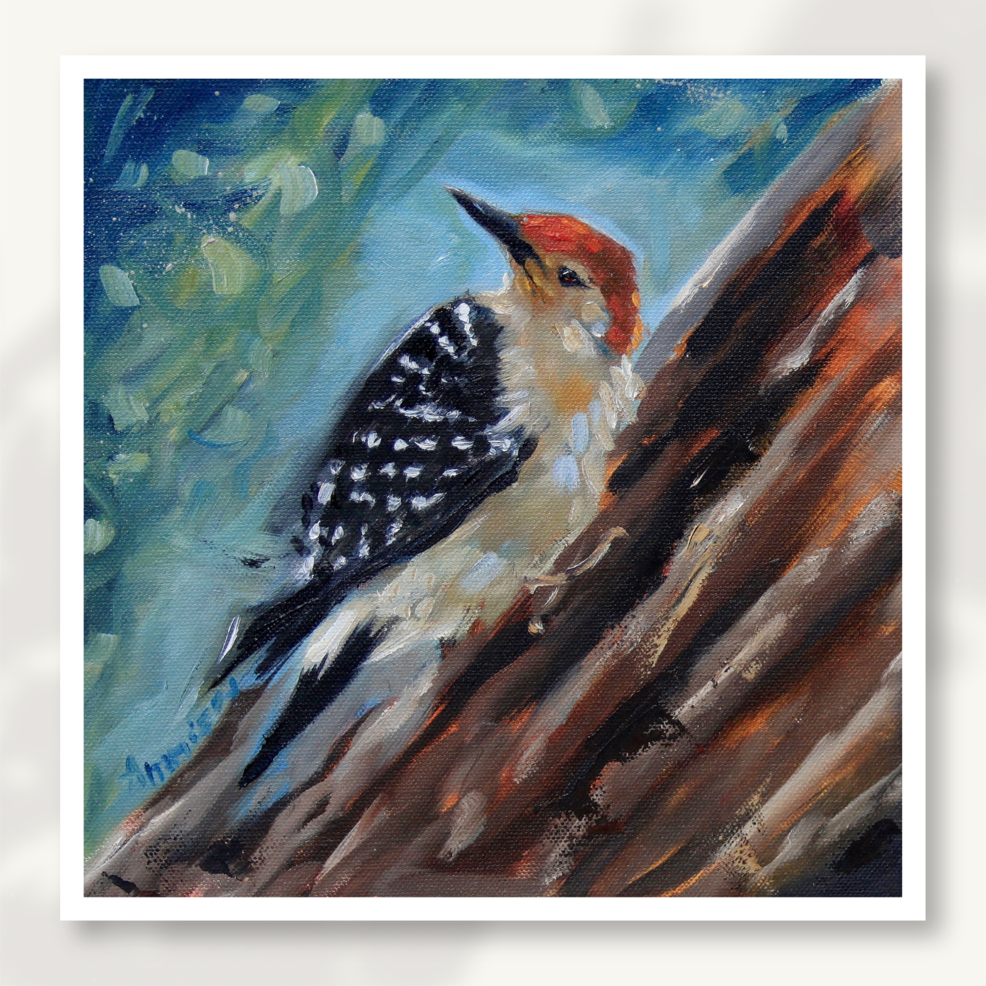Red Bellied Woodpecker Fine Art Print