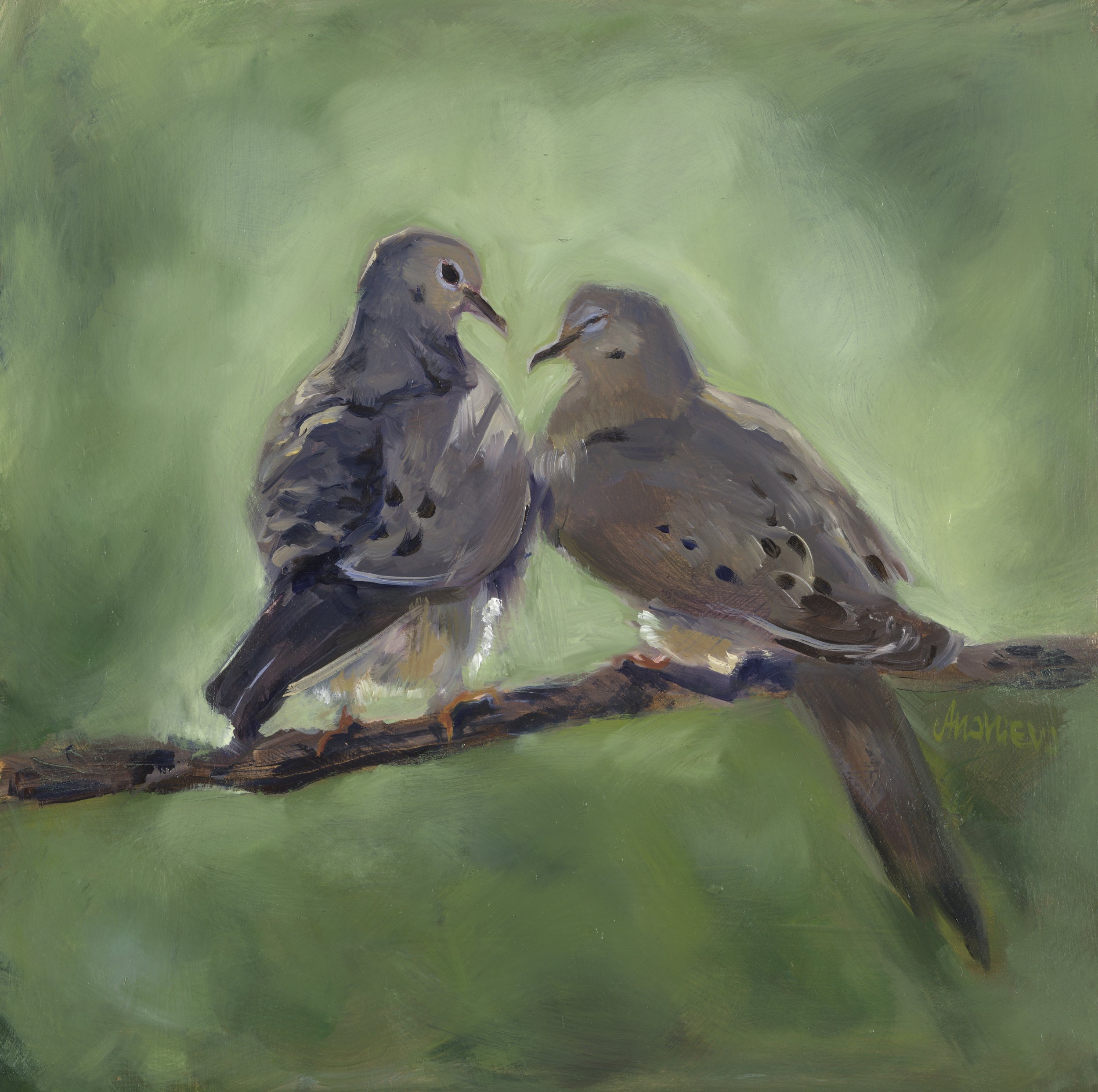 mourning doves oil painting original