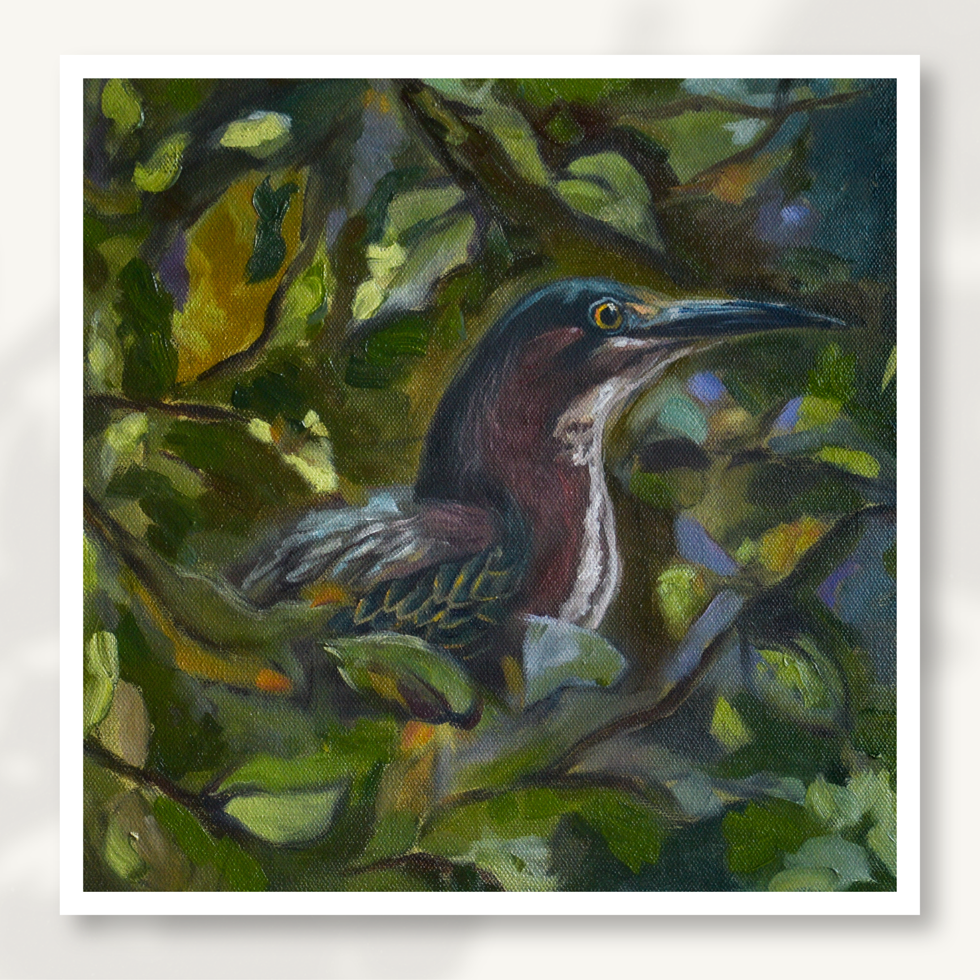 Green Heron Fine Art Print