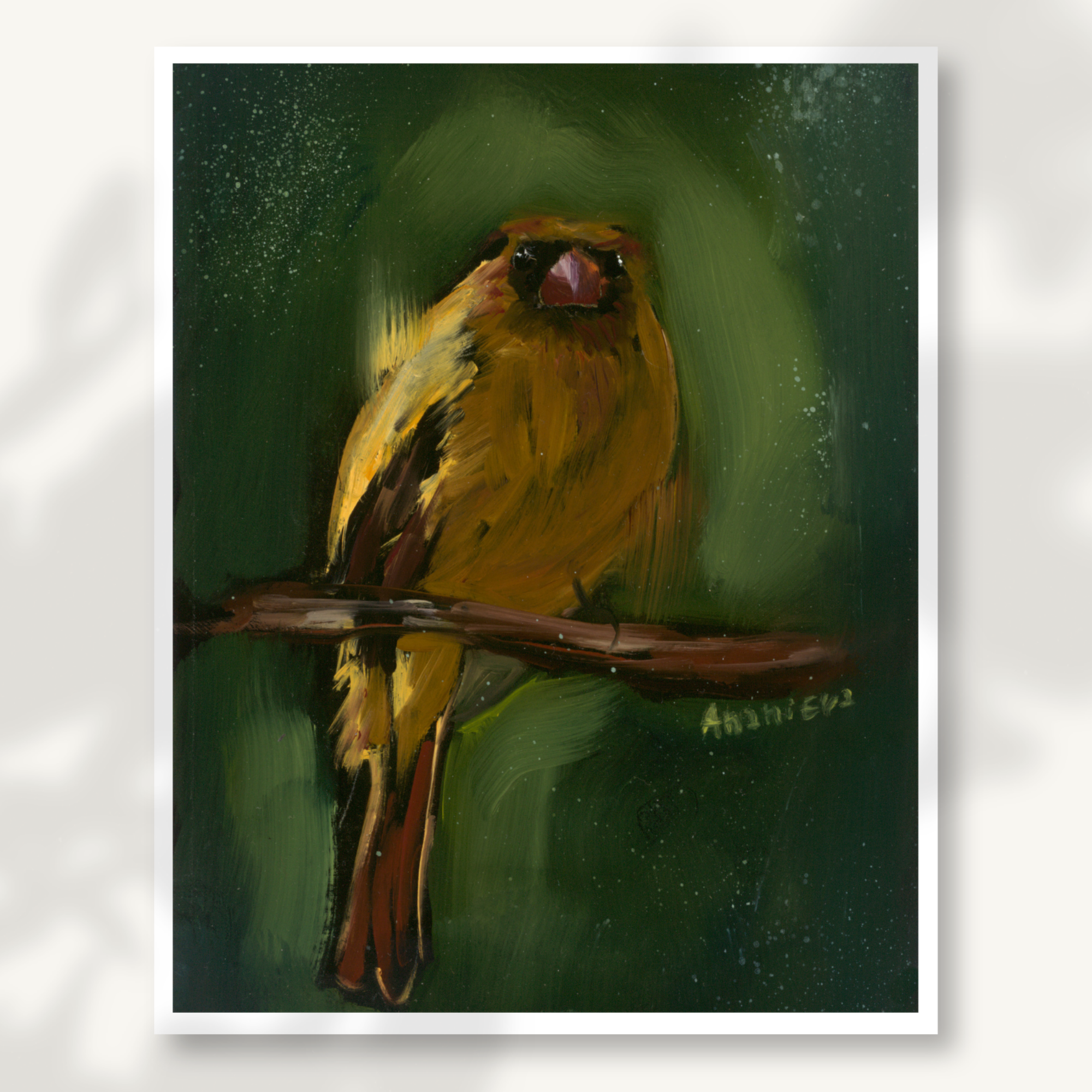 Female Cardinal Fine Art Print