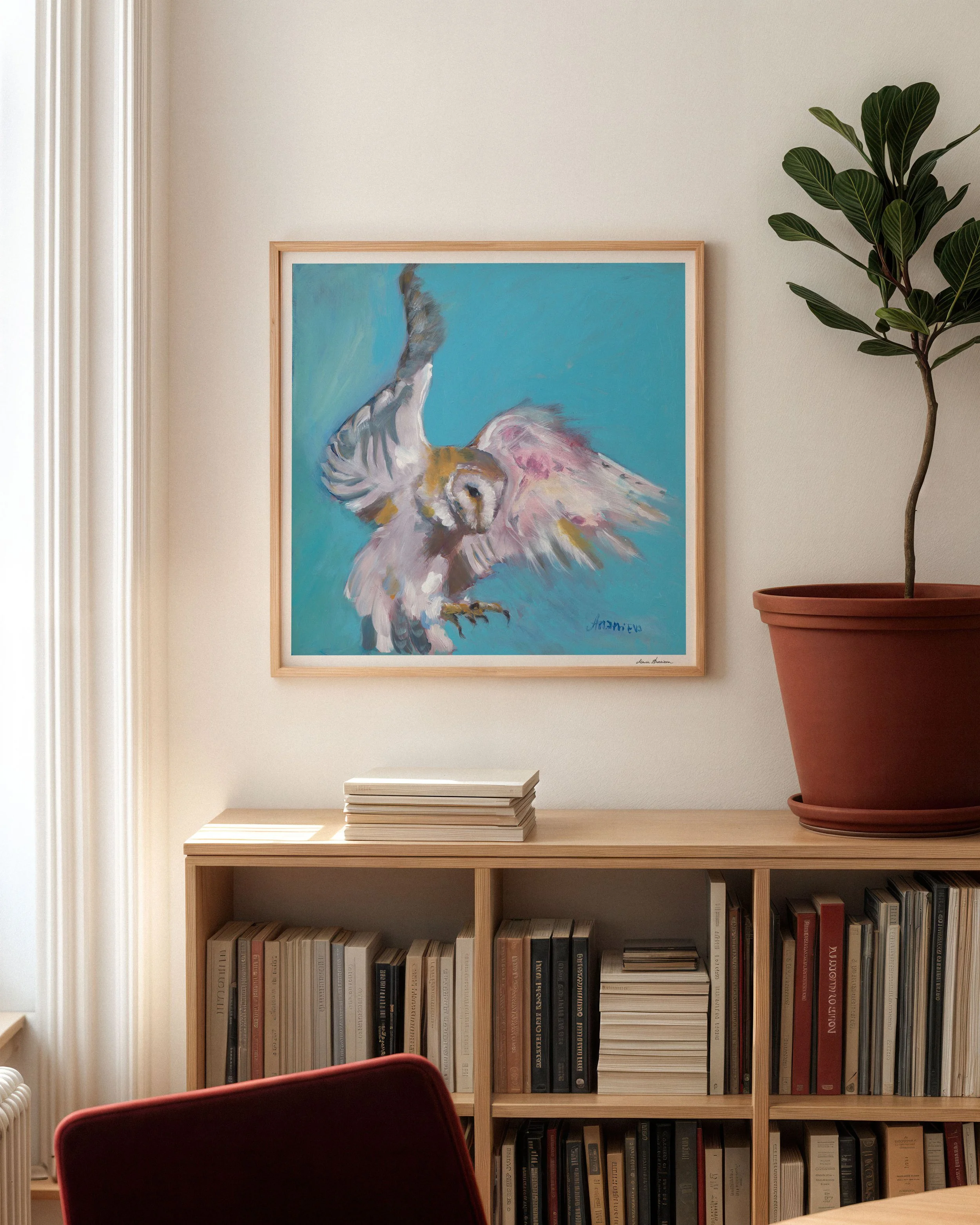 Barn Owl Flight 3.jpg