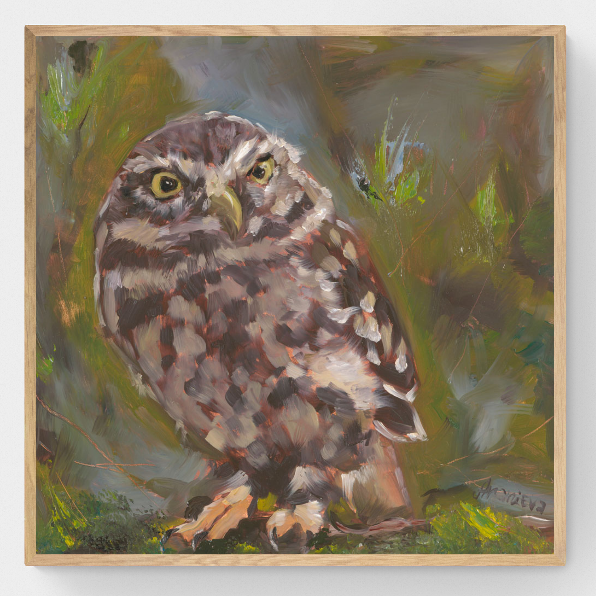 Athene Noctua - Little Owl Oil Painting