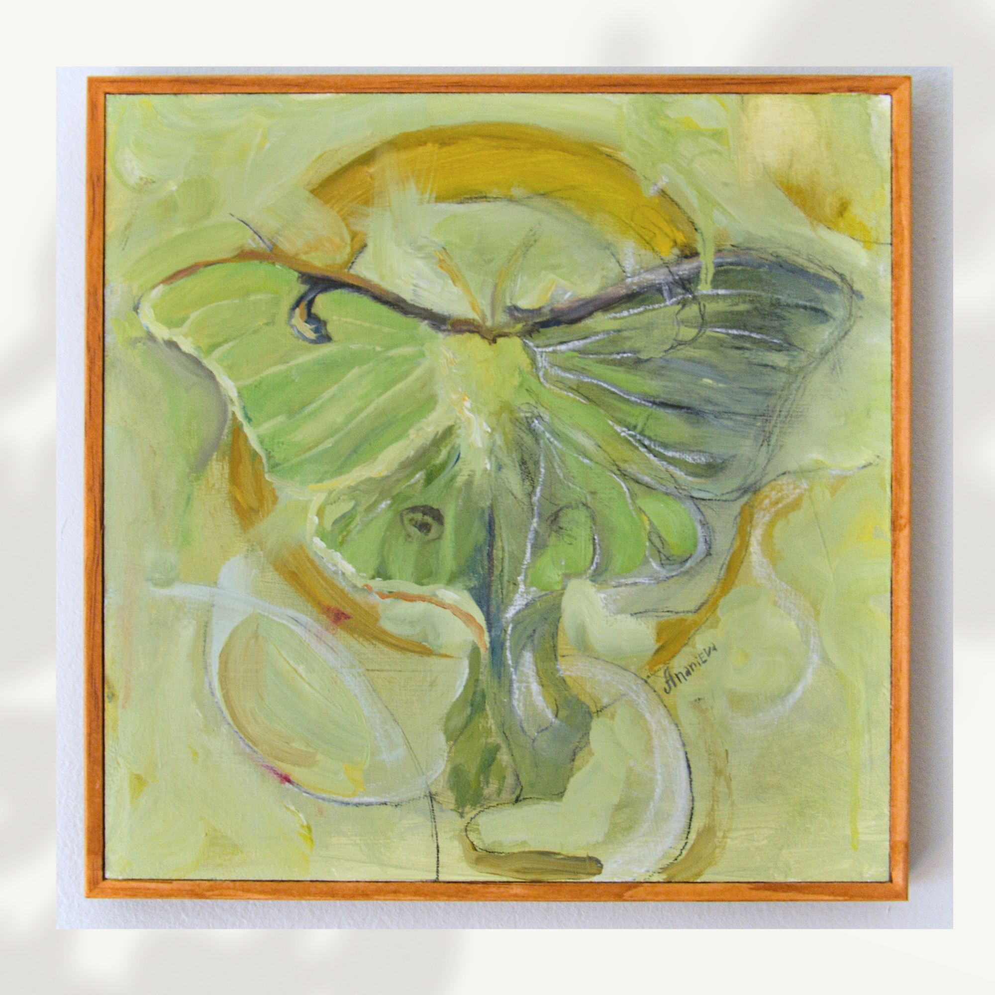 Luna Moth Oil Painting
