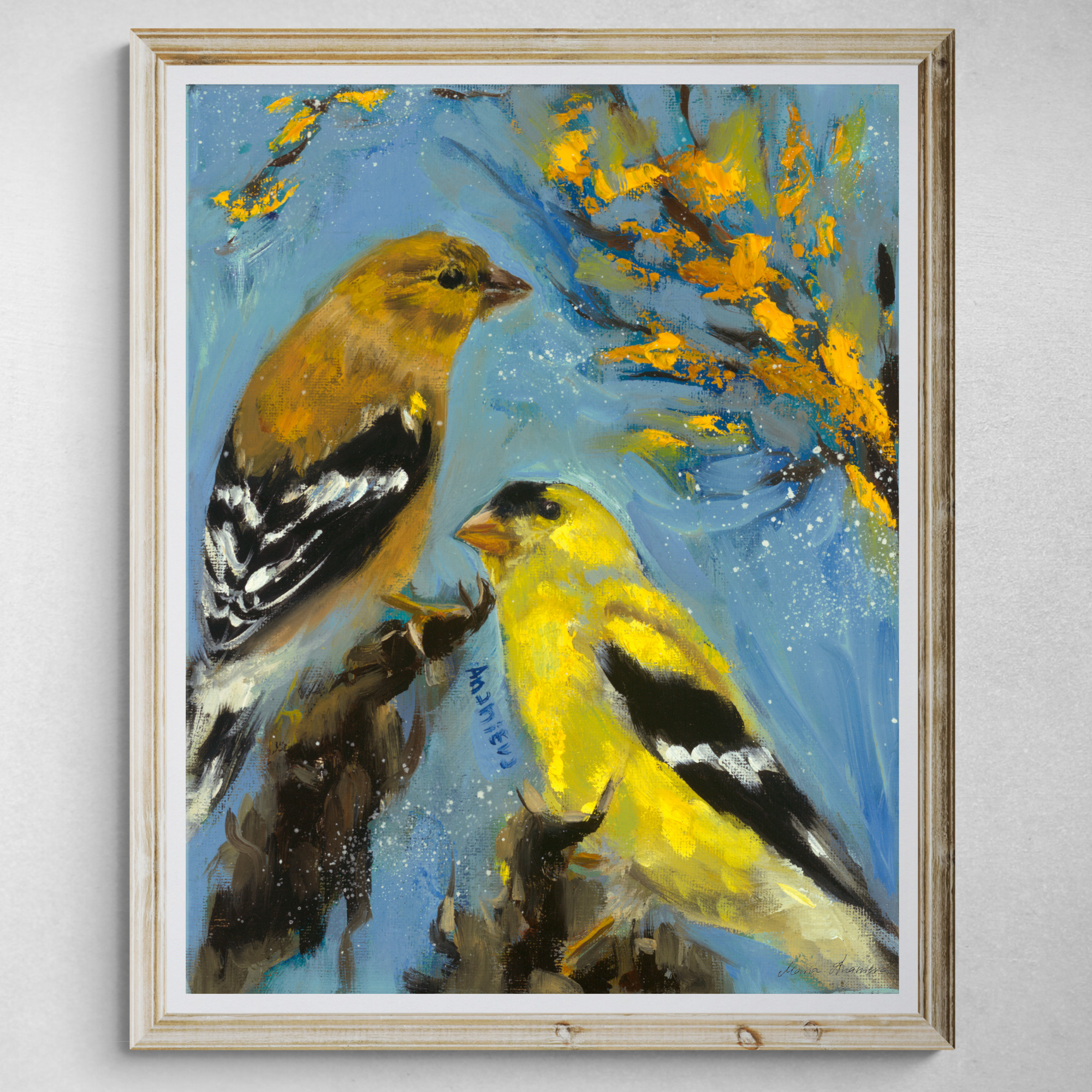 American Goldfinches.png