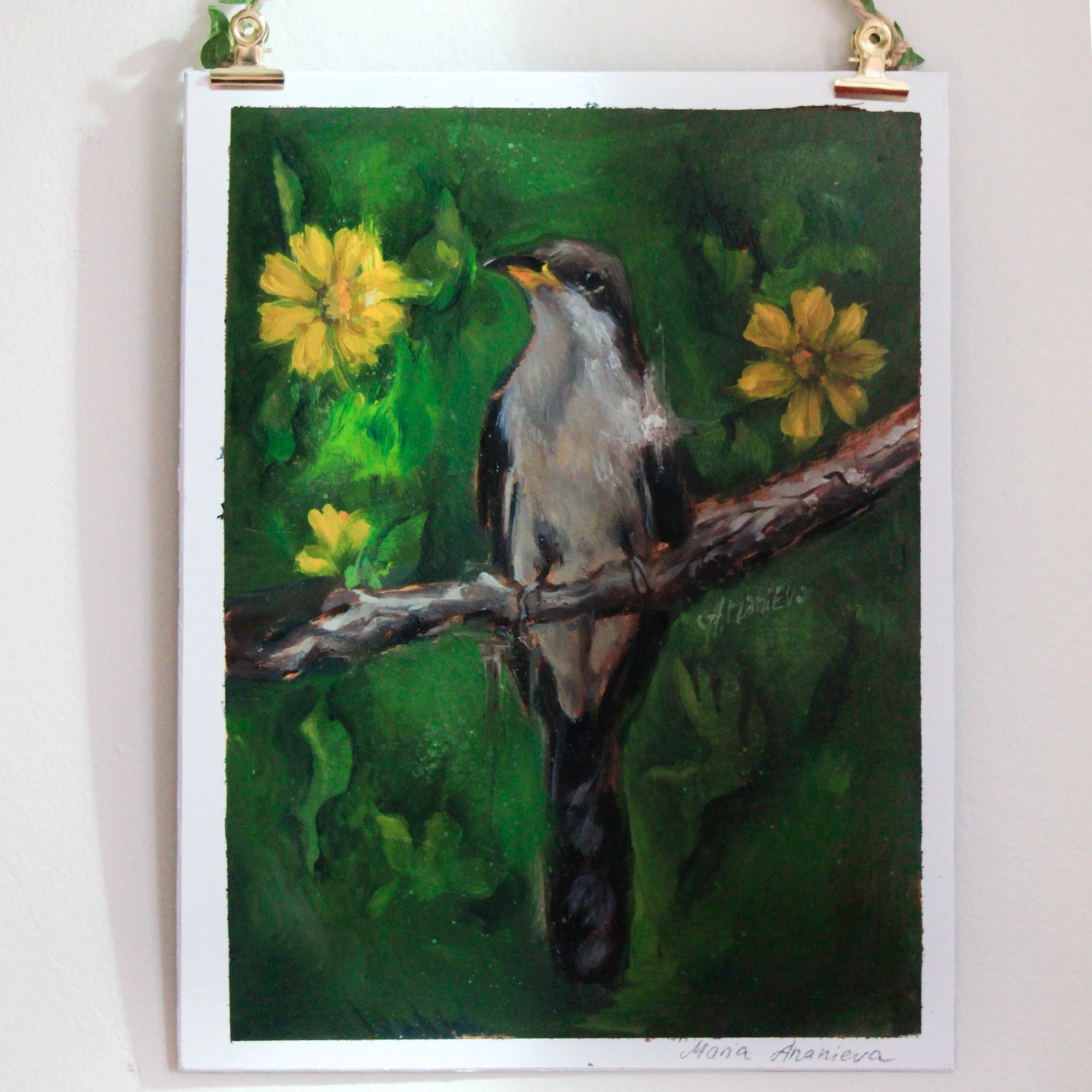 Yellow Billed Cuckoo Oil Painting