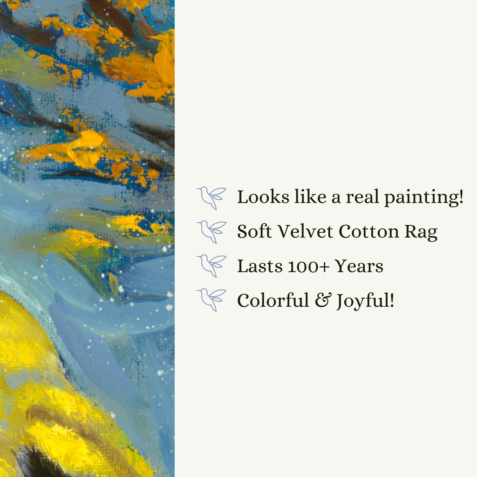 Plain Background (2).png