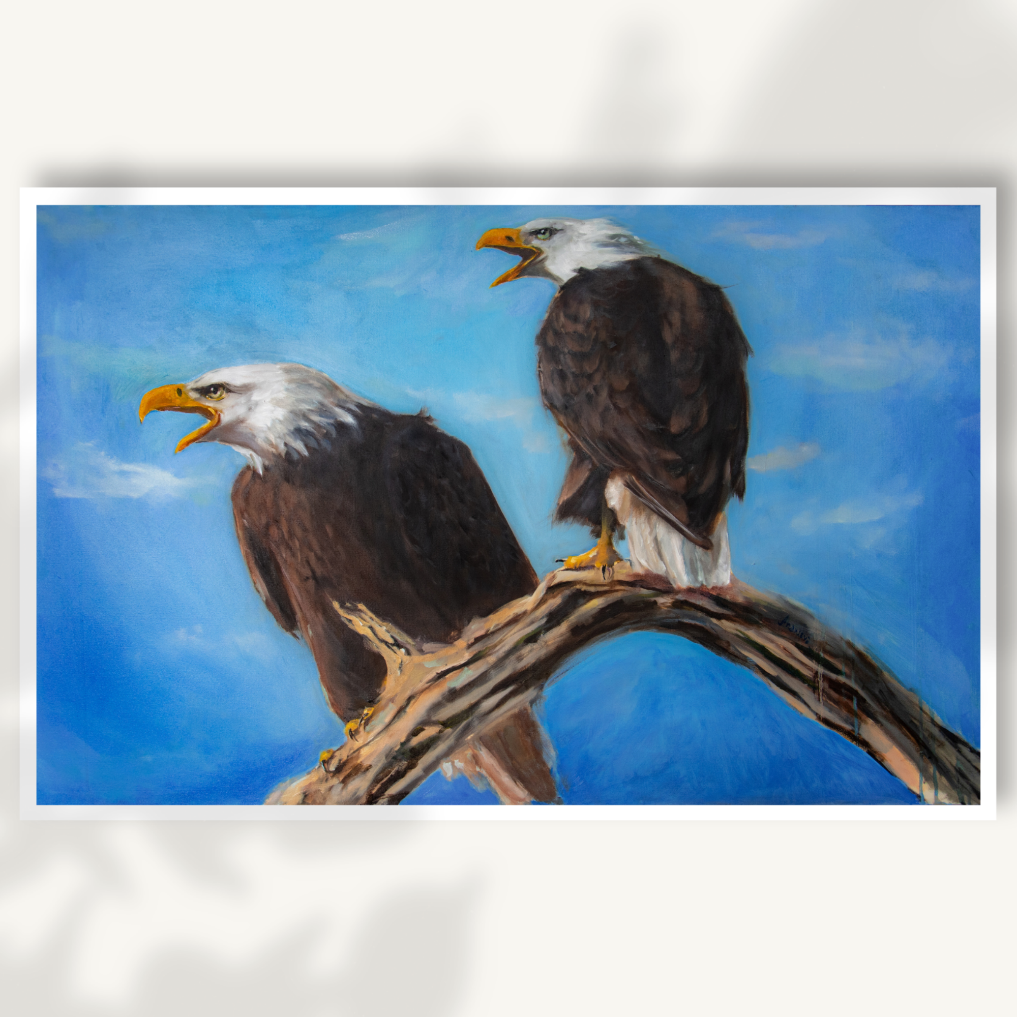Bald Eagles Fine Art Print