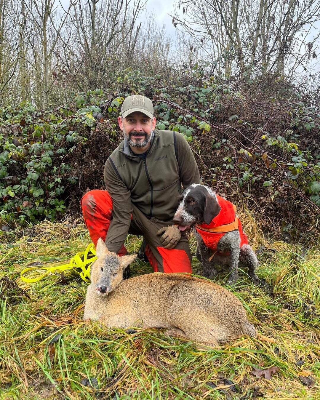 A good recovery this morning for Alan Hayes &amp; Skye on a  Chinese water deer..
Short track and despatch after being brought to bay..
Well done to all involved 👏👏
Many thanks for putting your trust in UKDTR 🦌🐕🦌🐕
To find the number for your ne